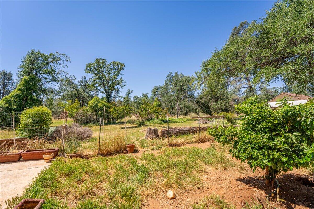 property viewer photo 36
