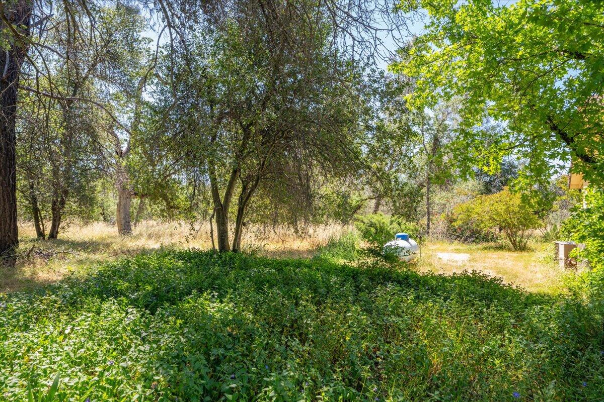 property viewer photo 40