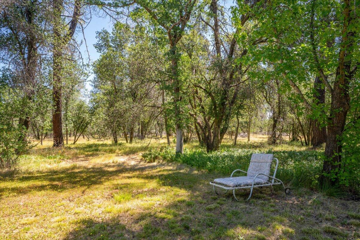 property viewer photo 41
