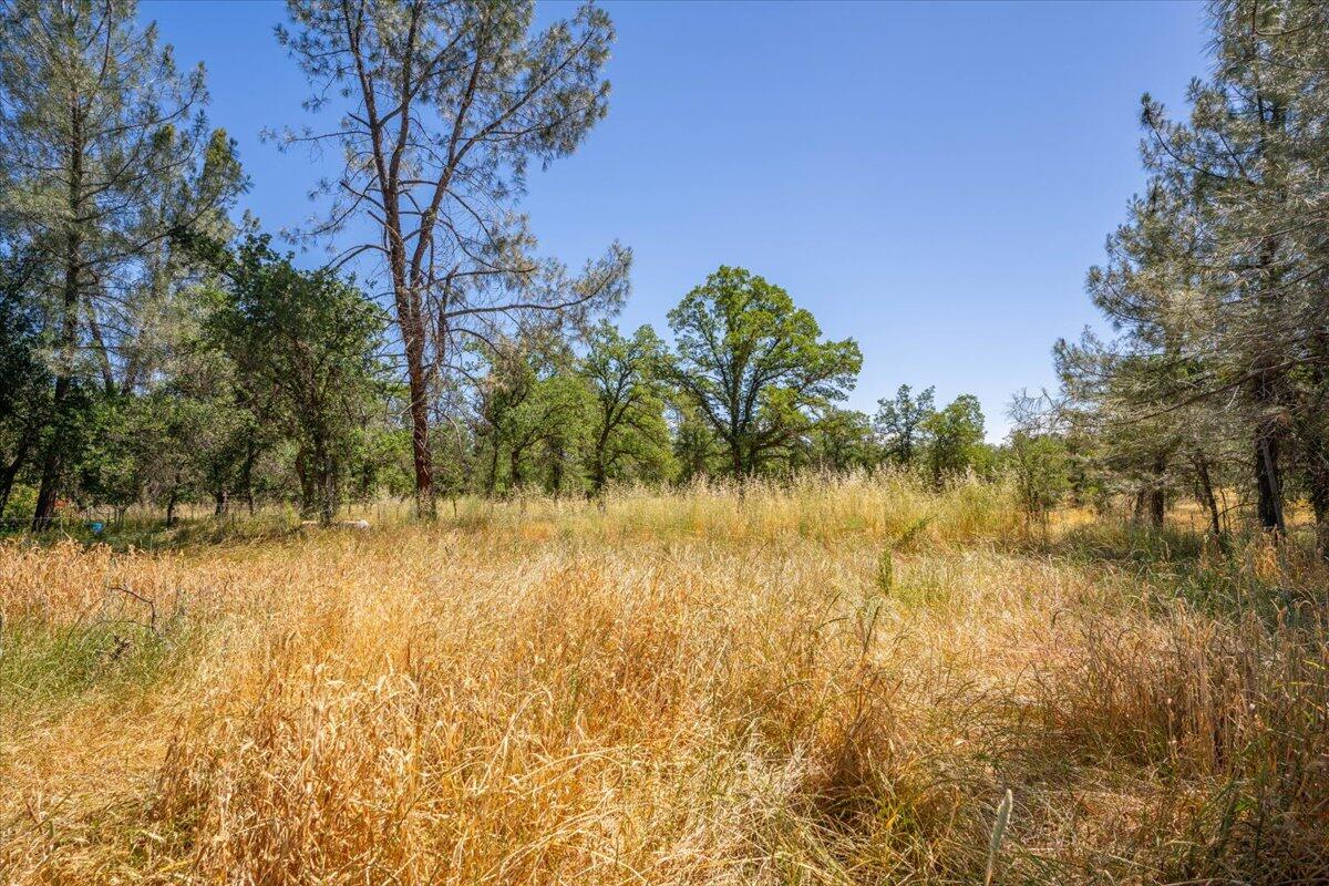 property viewer photo 42