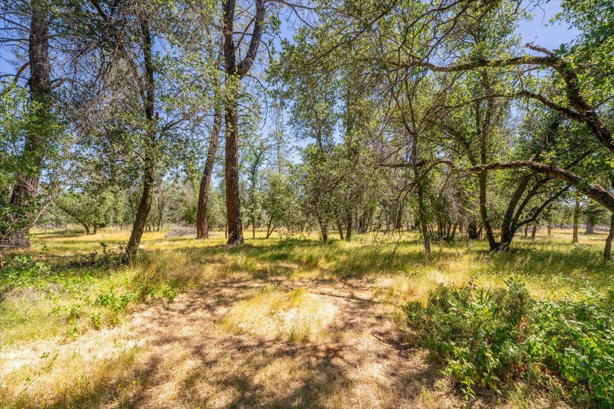property viewer photo 43