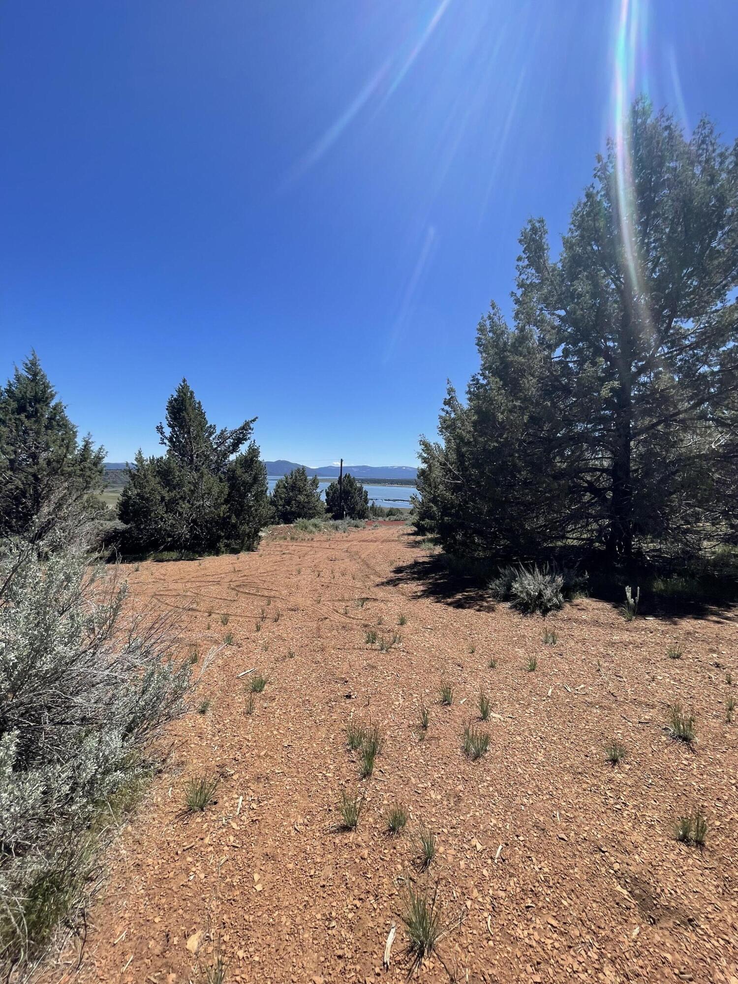 property viewer photo 12
