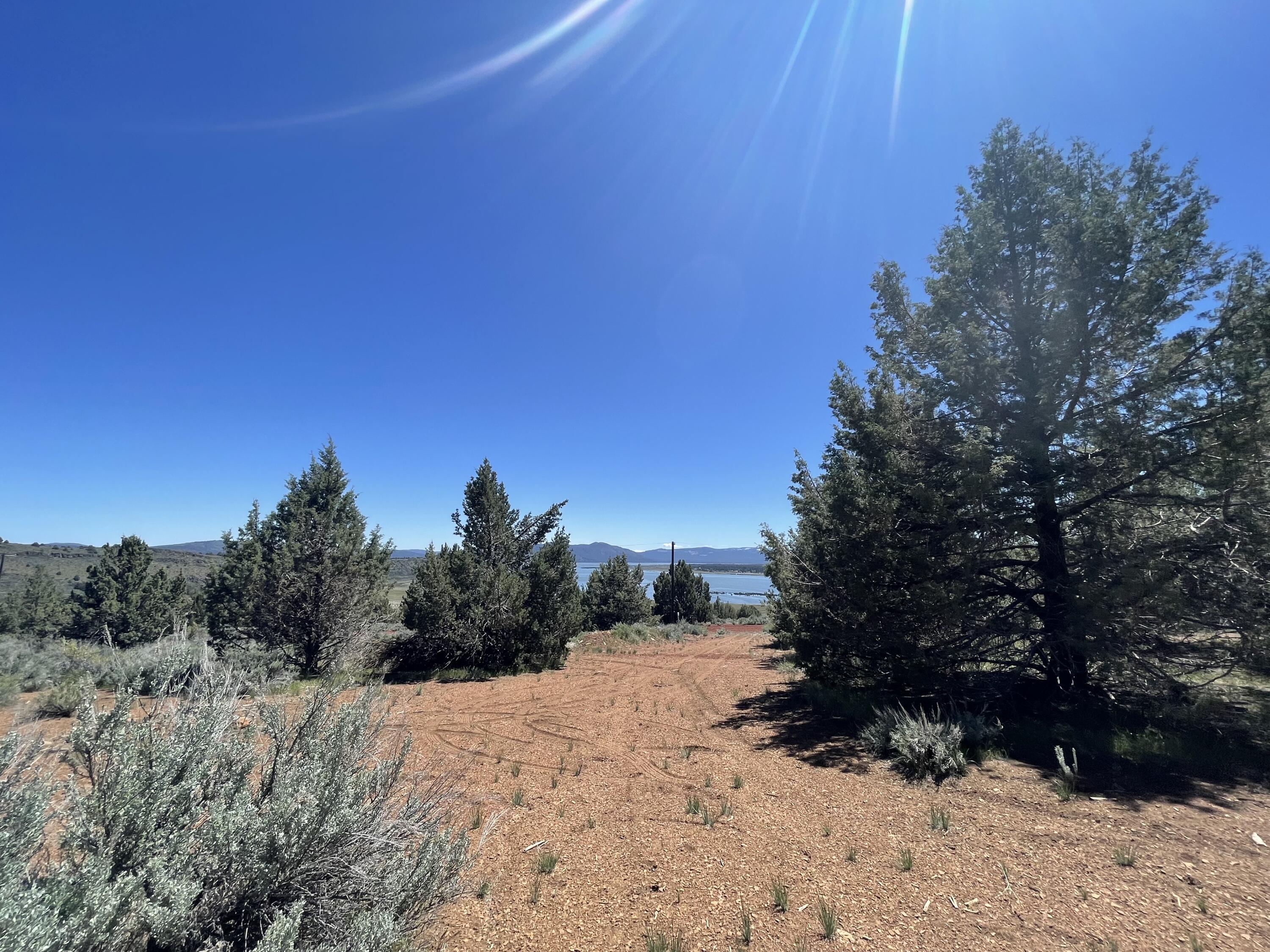 property viewer photo 13
