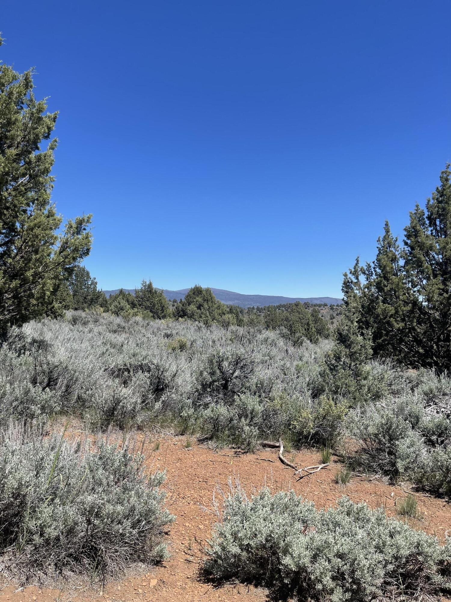 property viewer photo 19
