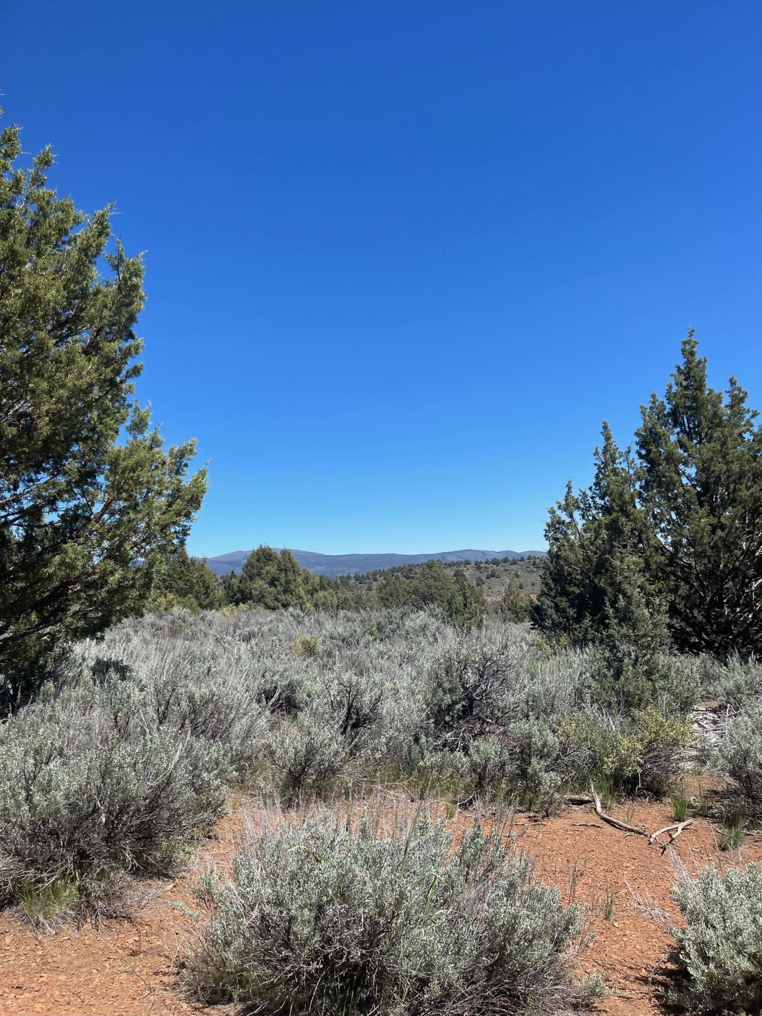 property viewer photo 20