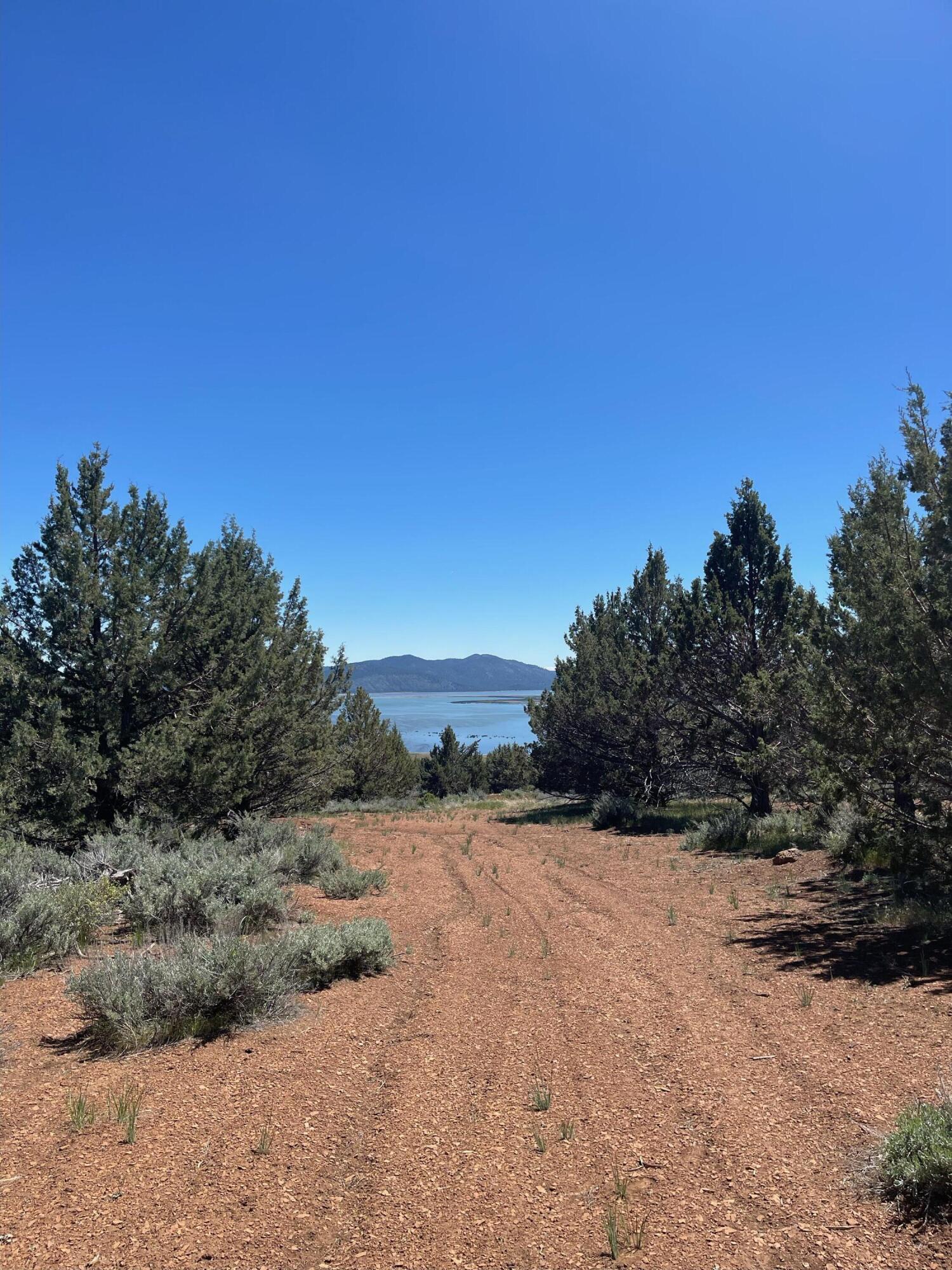 property viewer photo 21