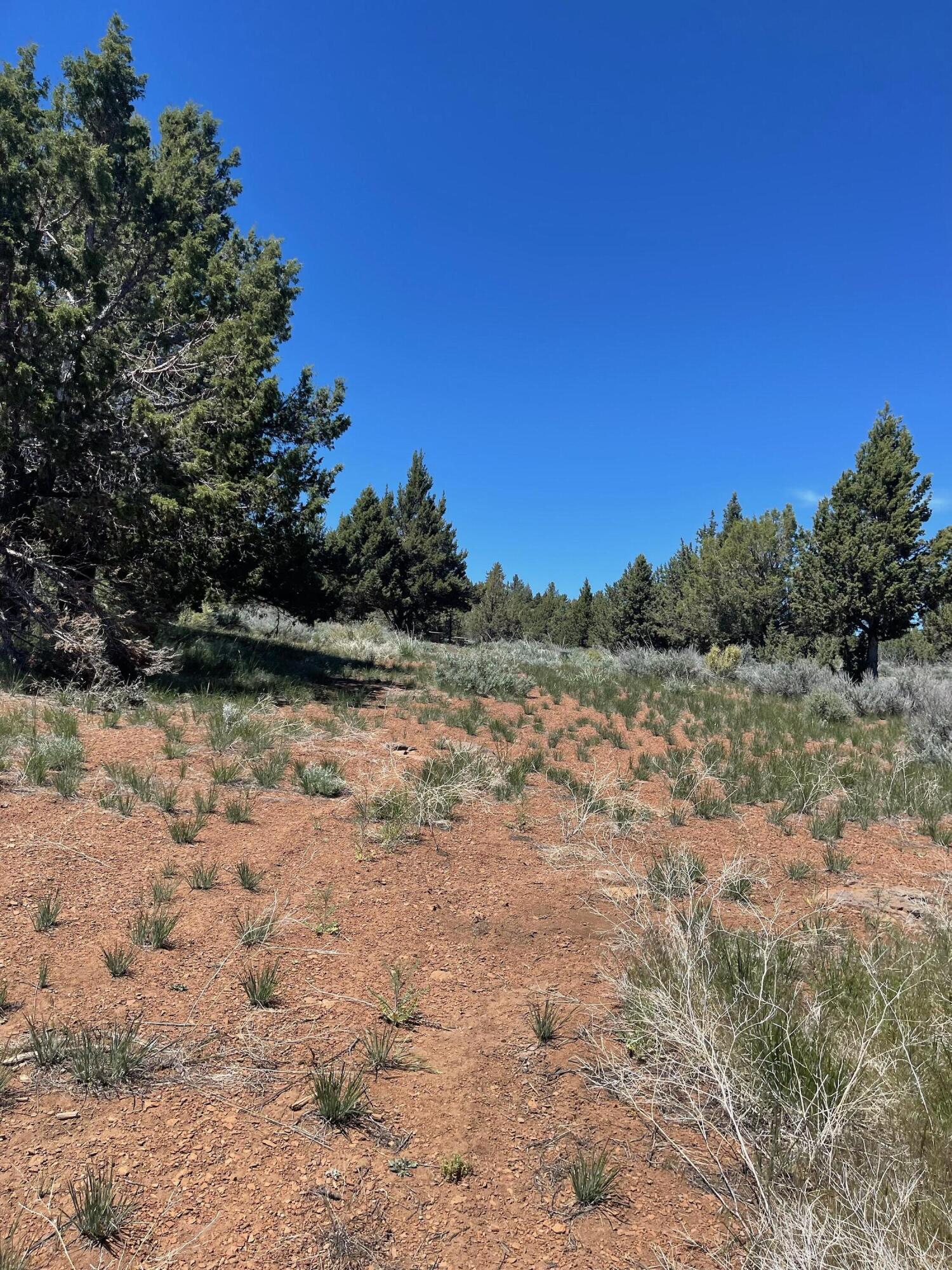 property viewer photo 22