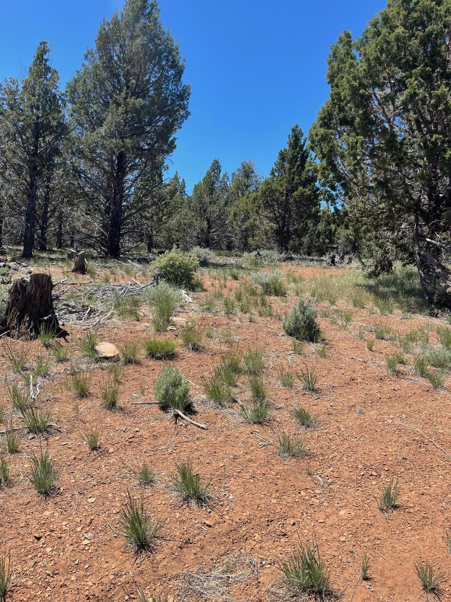 property viewer photo 23