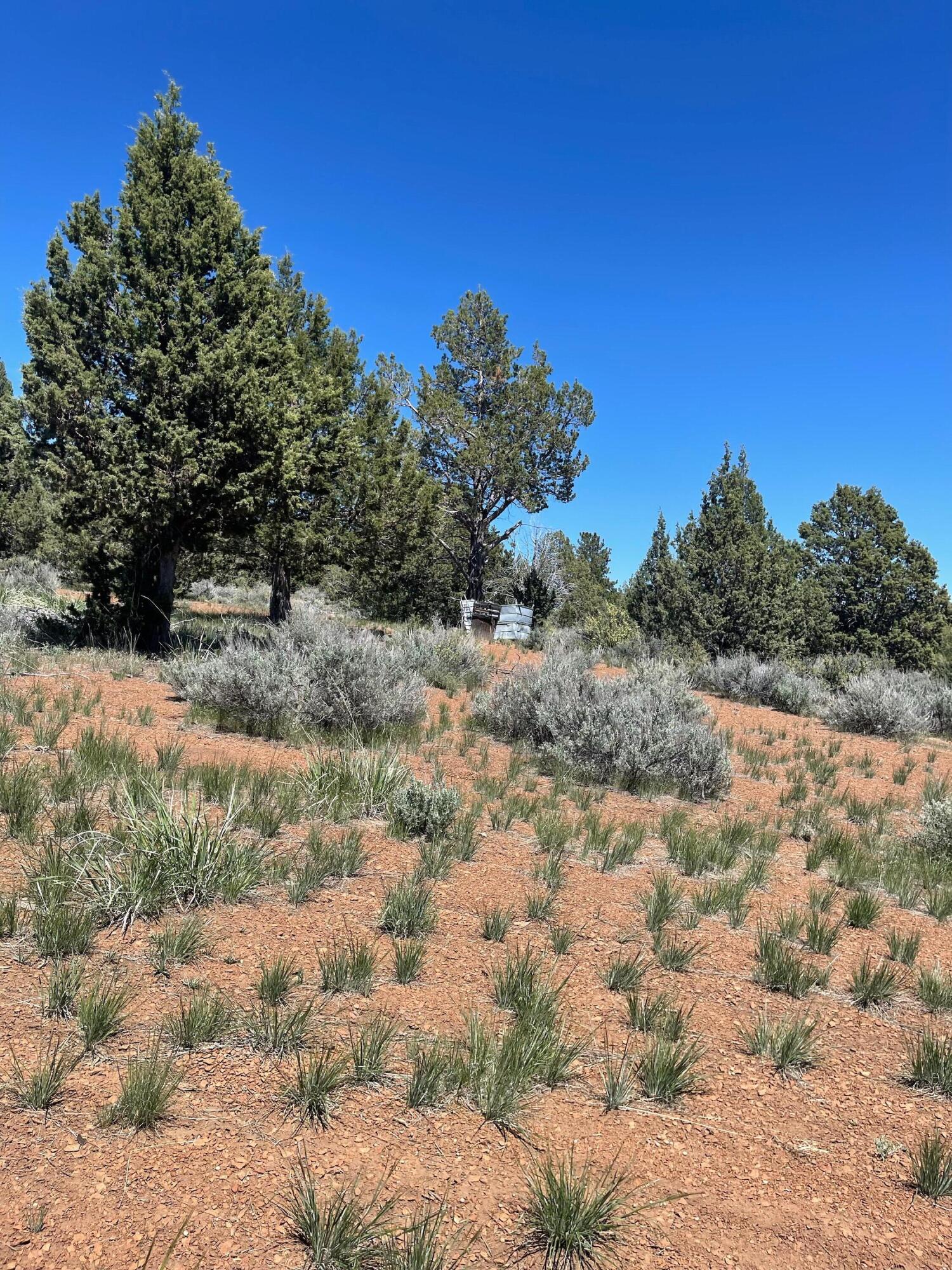 property viewer photo 24