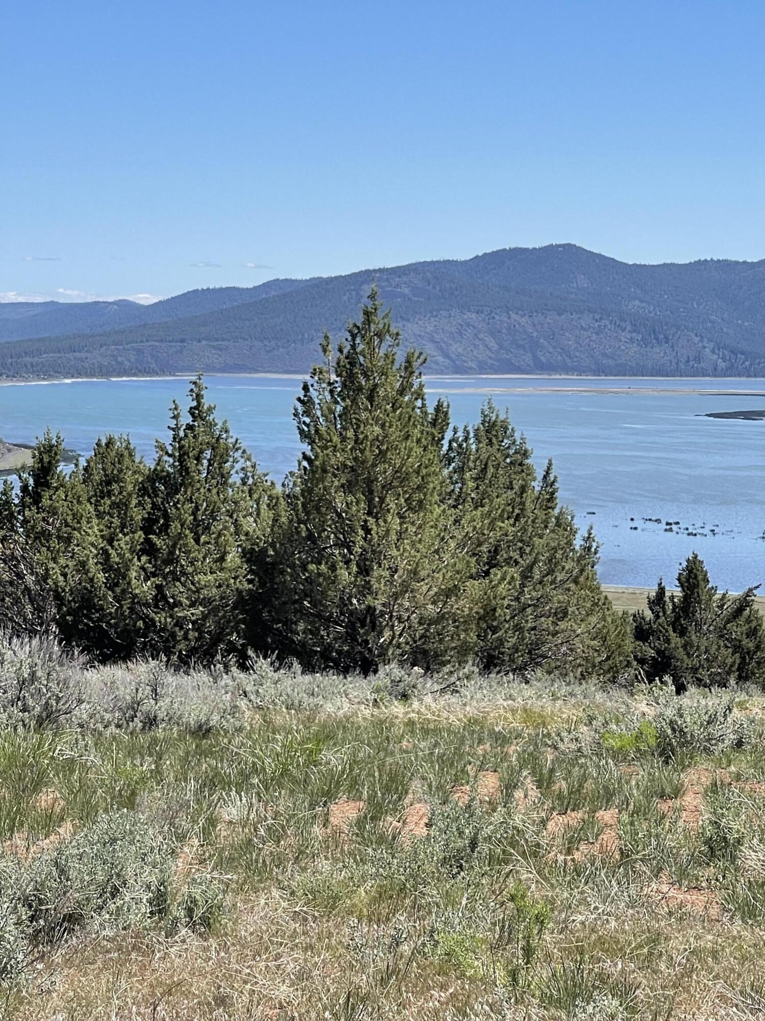 property viewer photo 28