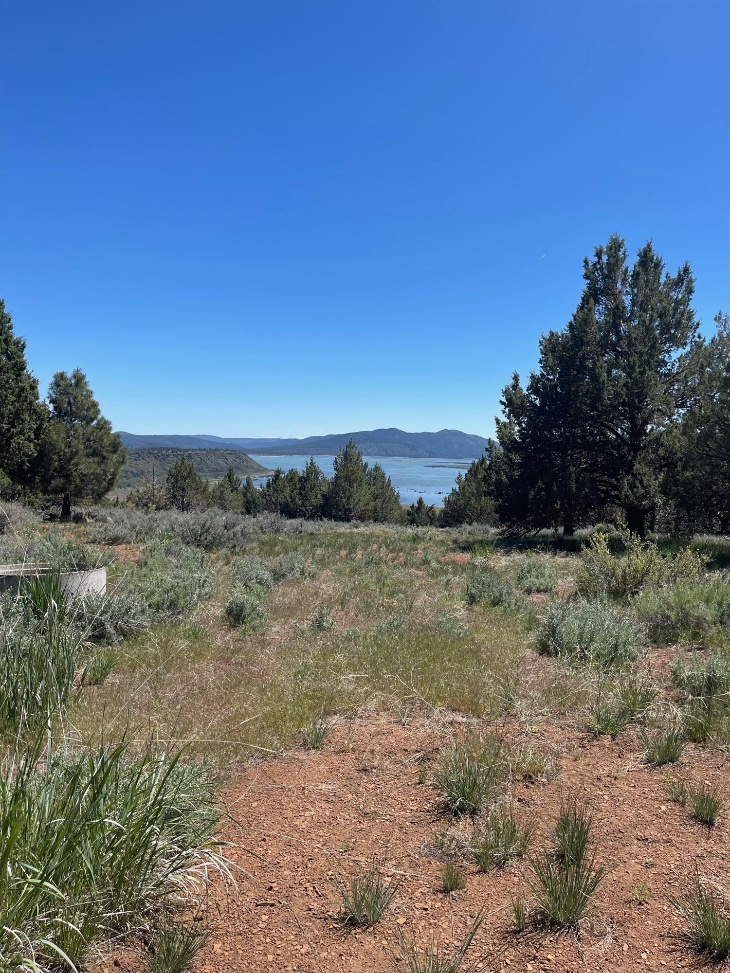 property viewer photo 29