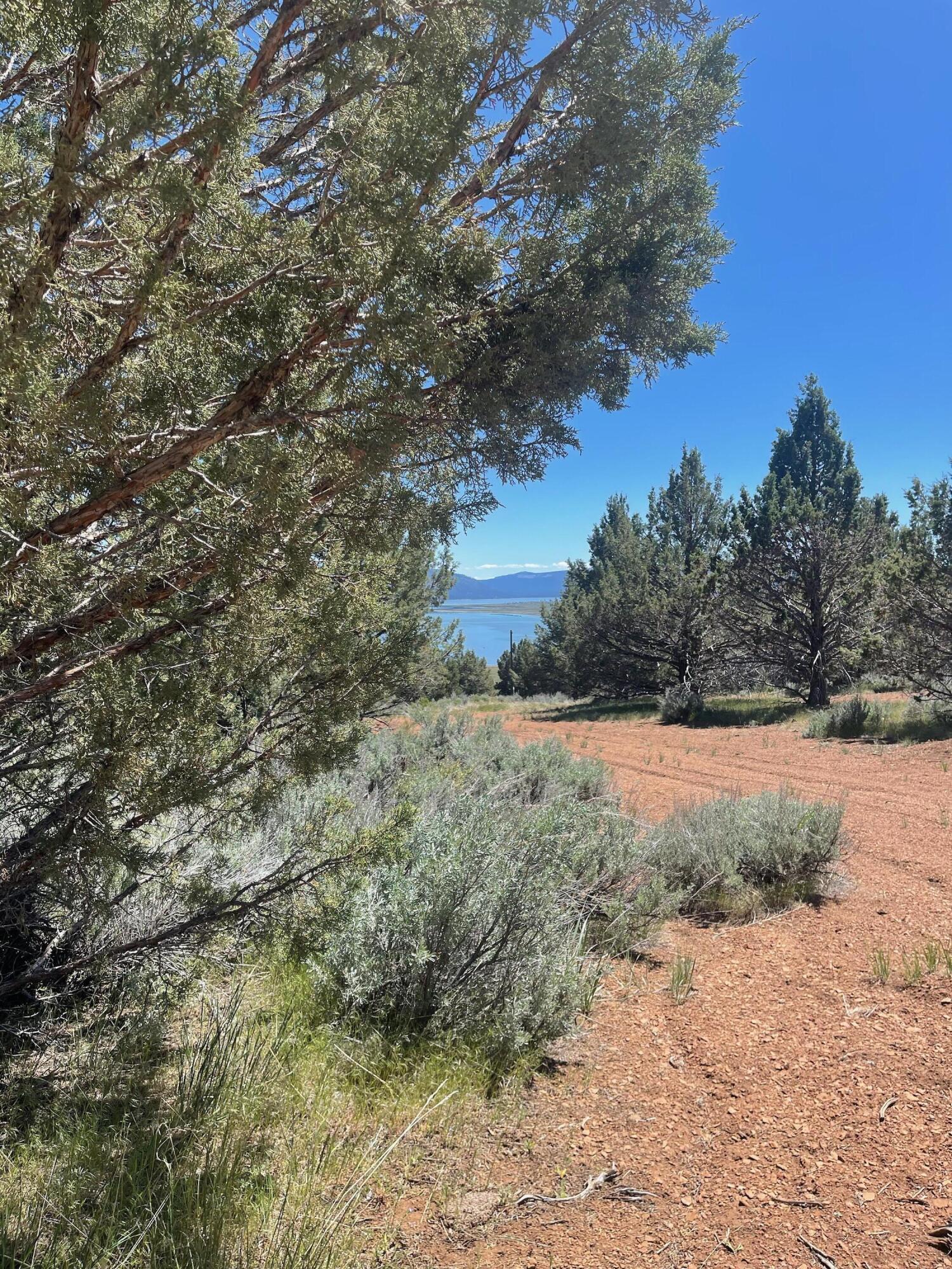 property viewer photo 32