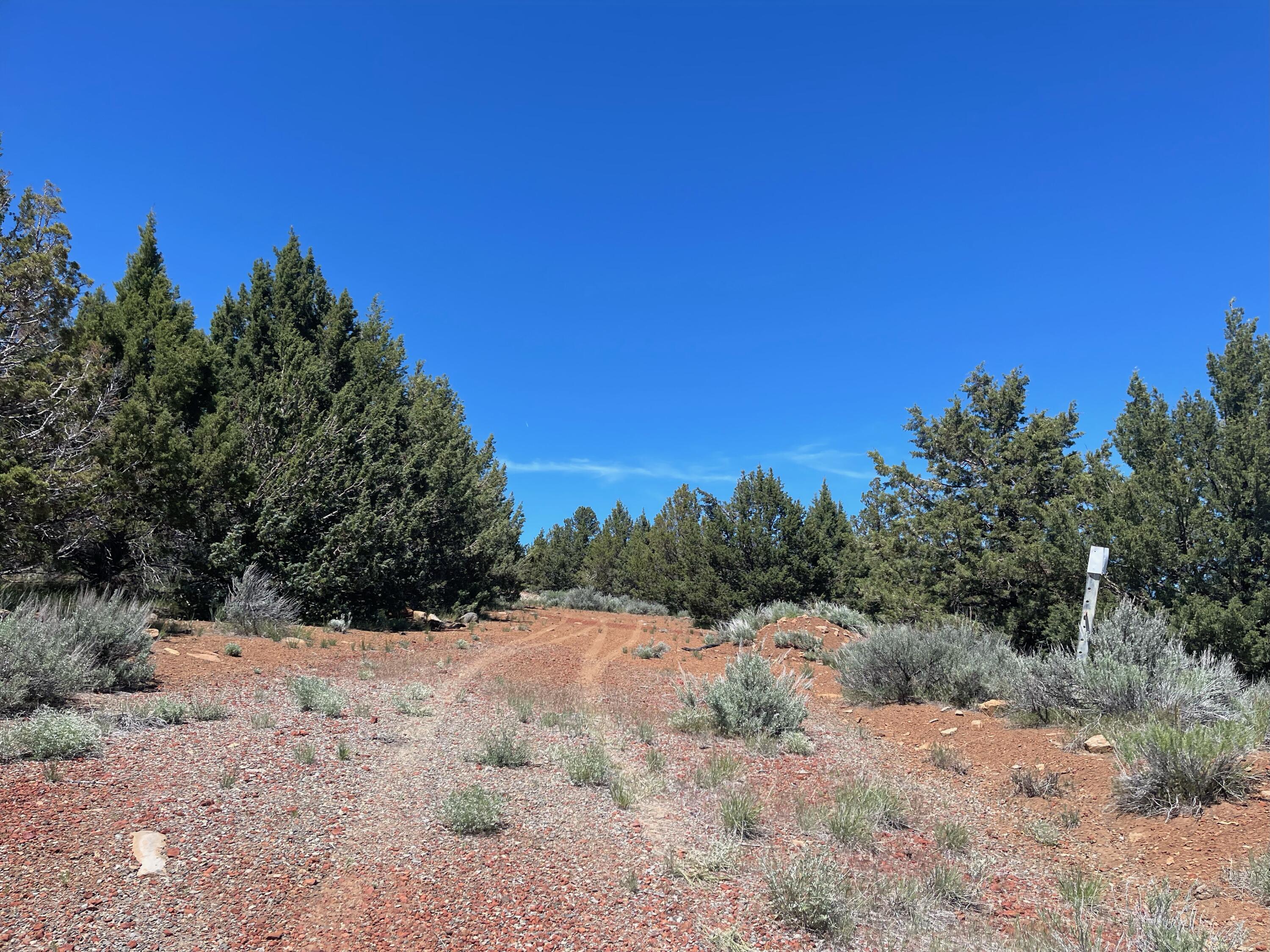 property viewer photo 5