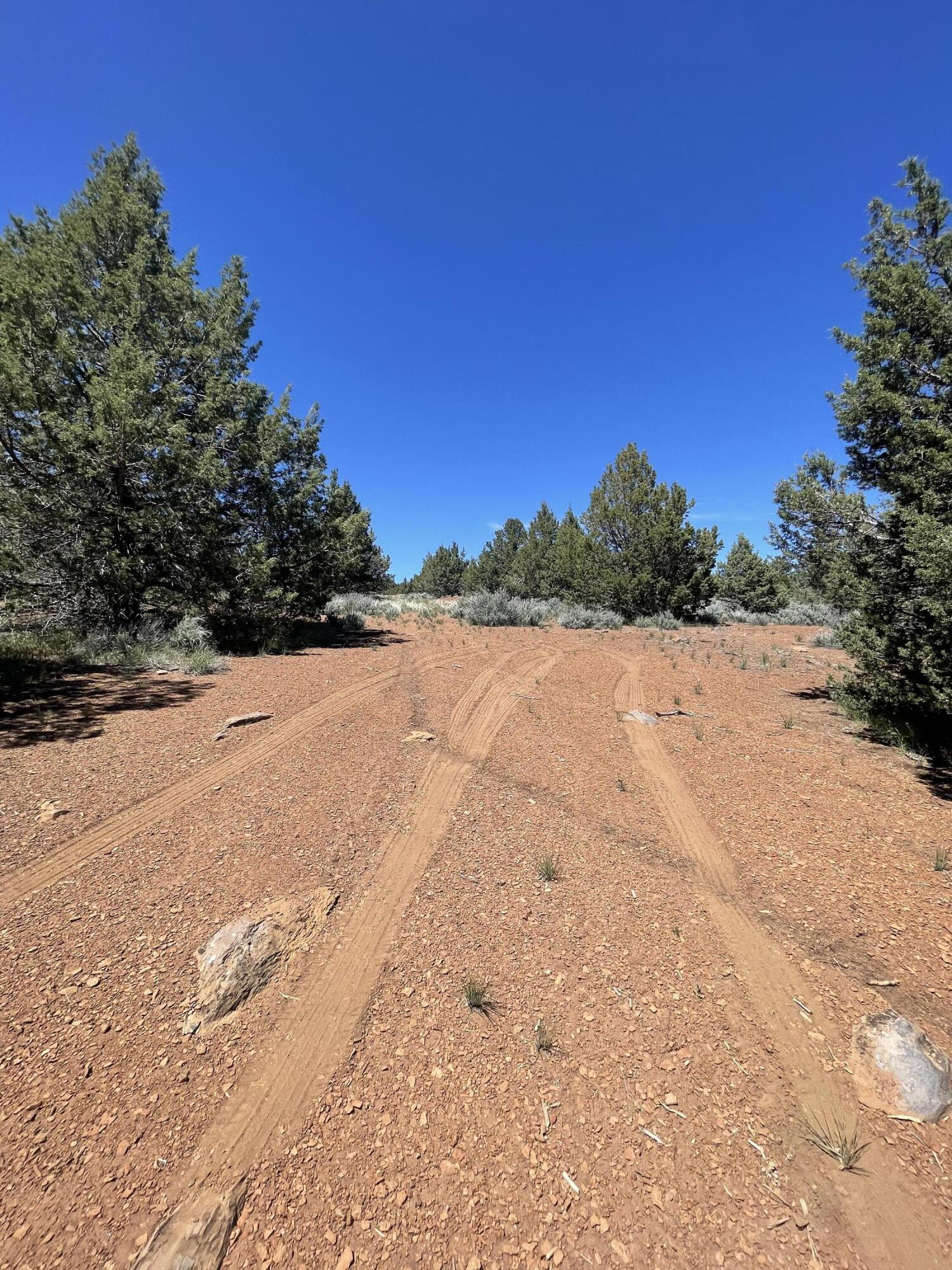 property viewer photo 9