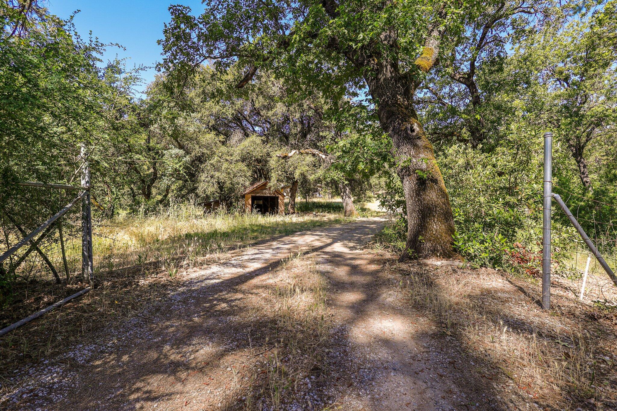 property viewer photo 4