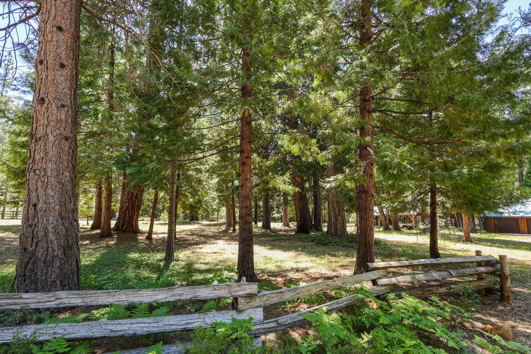 property viewer photo 57
