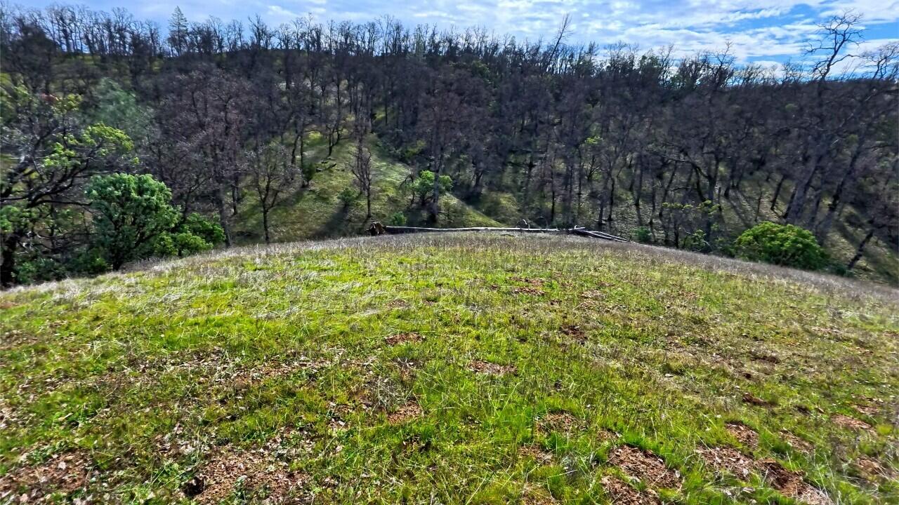 property viewer photo 1