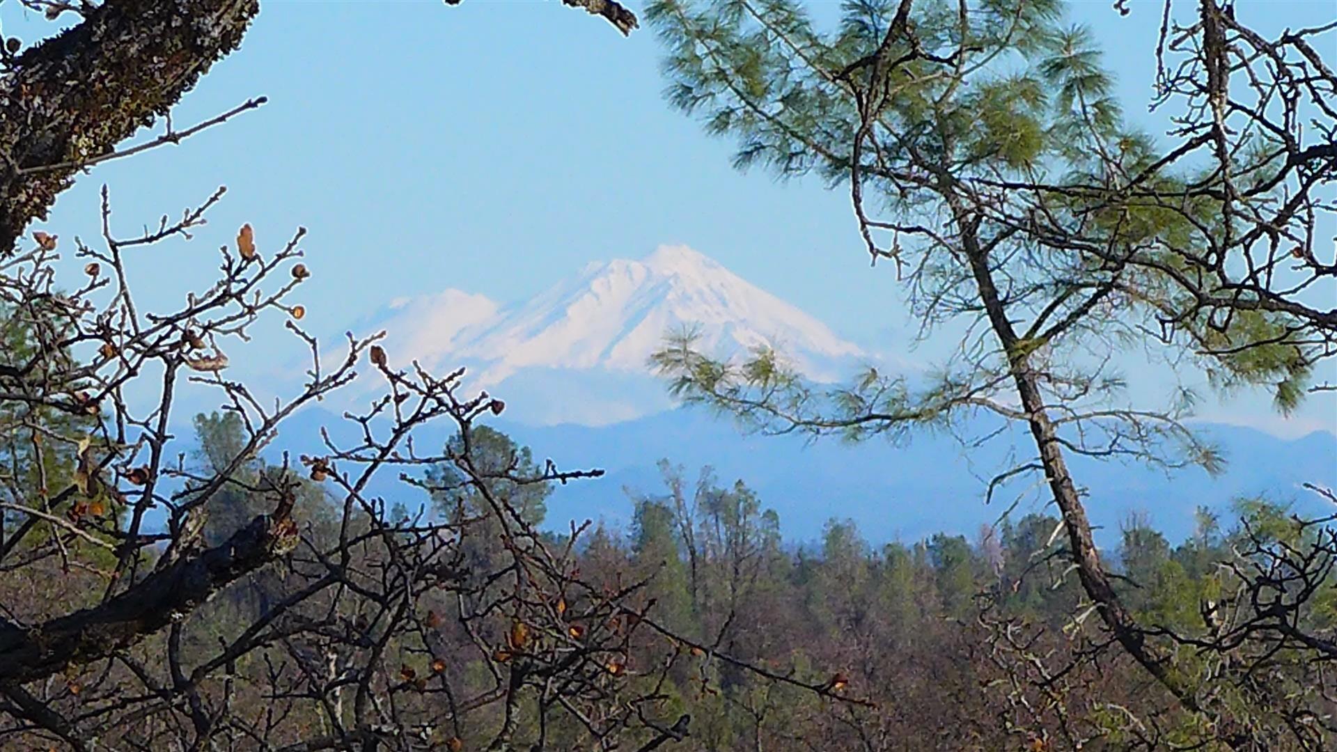 property viewer photo 10