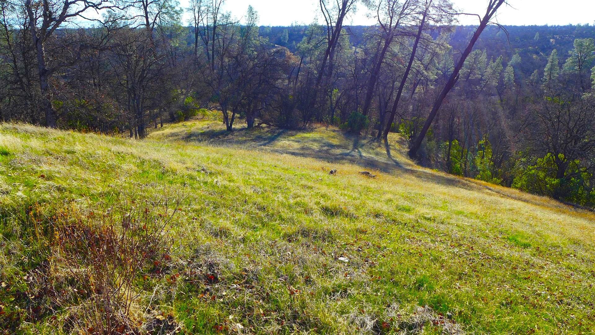 property viewer photo 11