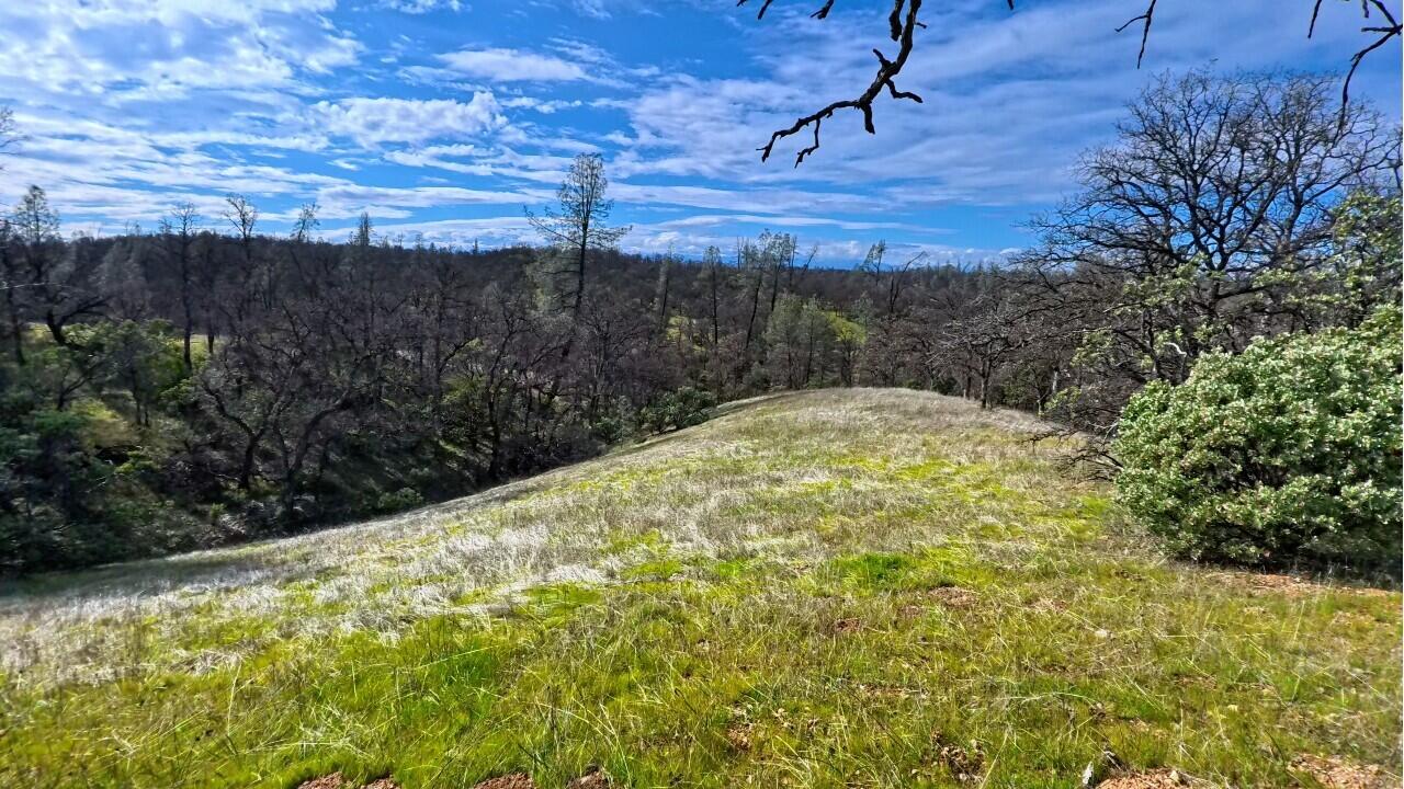 property viewer photo 2