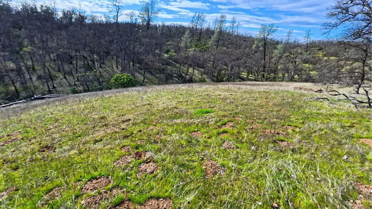 property viewer photo 3