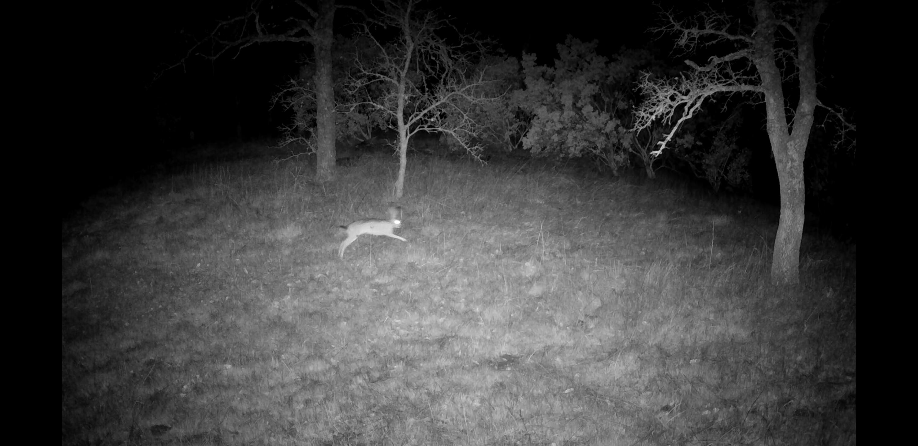 property viewer photo 5
