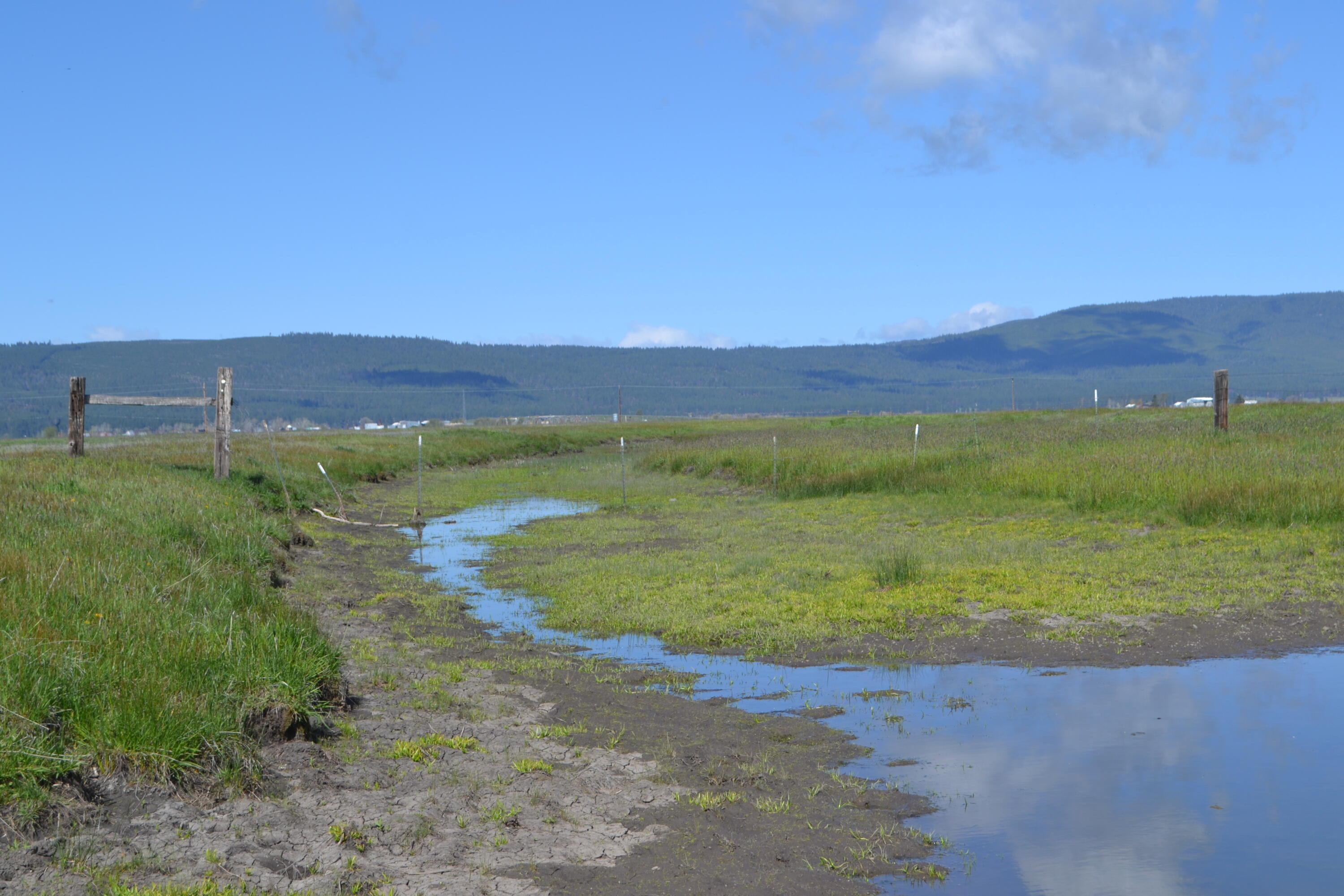 property viewer photo 33