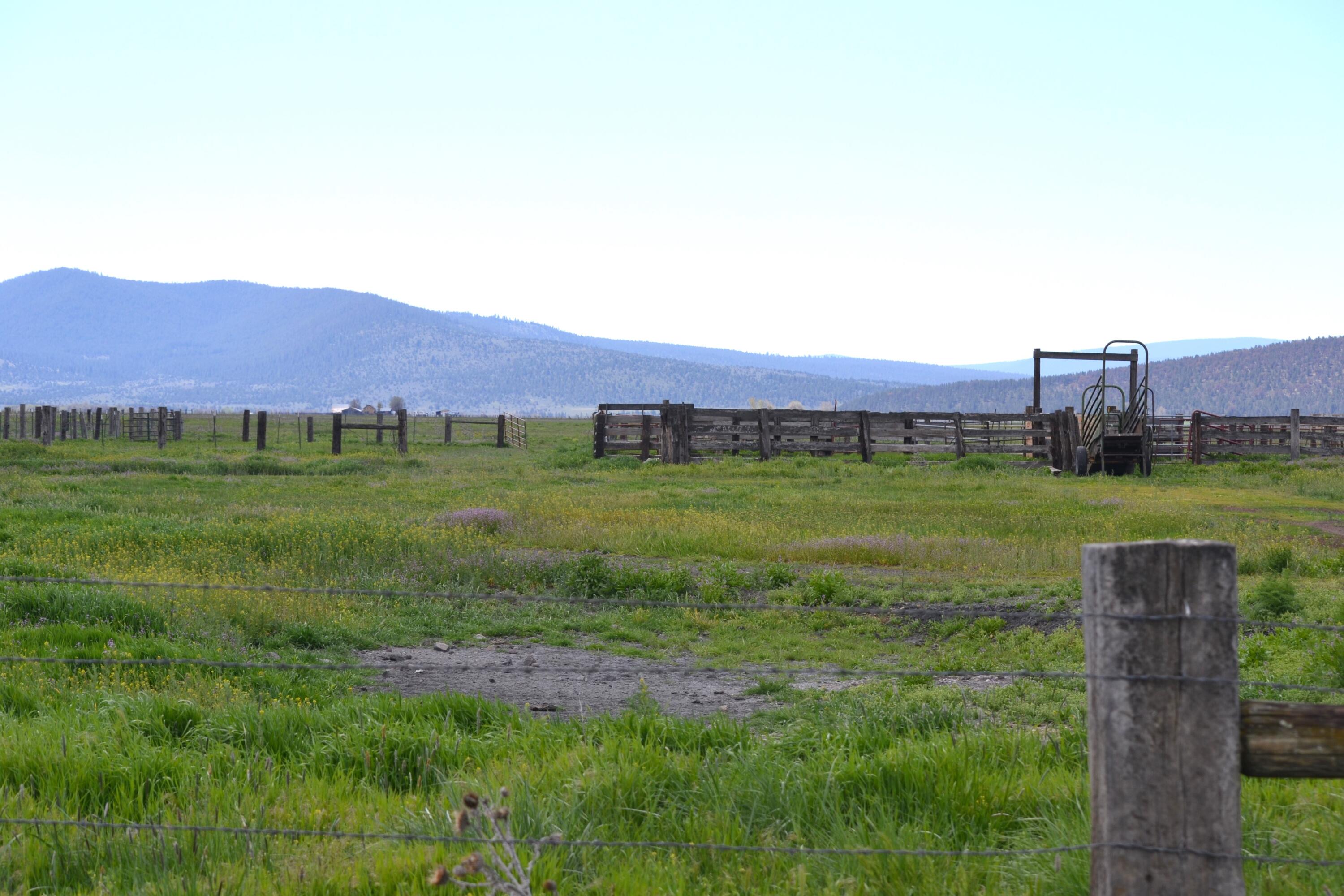 property viewer photo 40