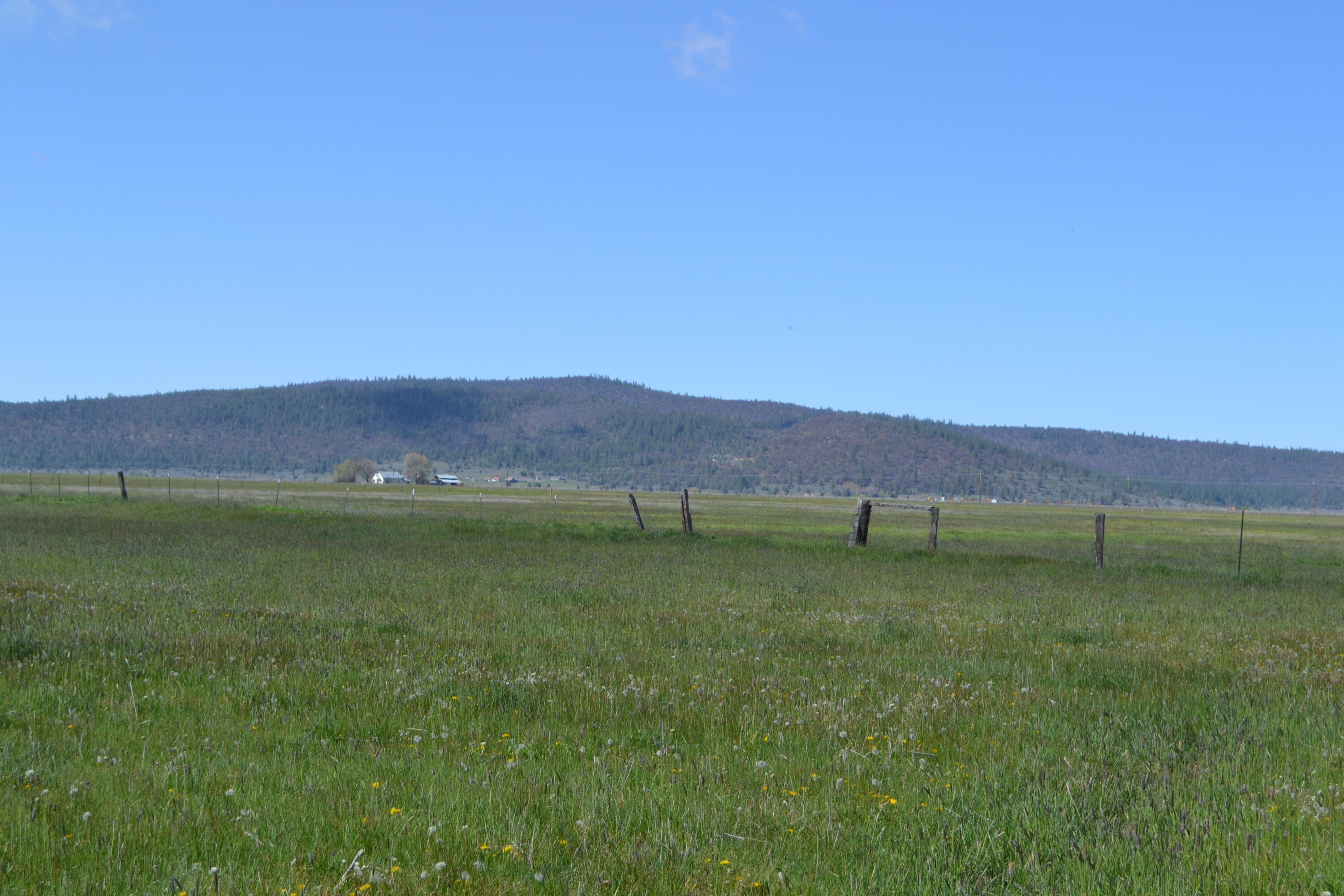 property viewer photo 41