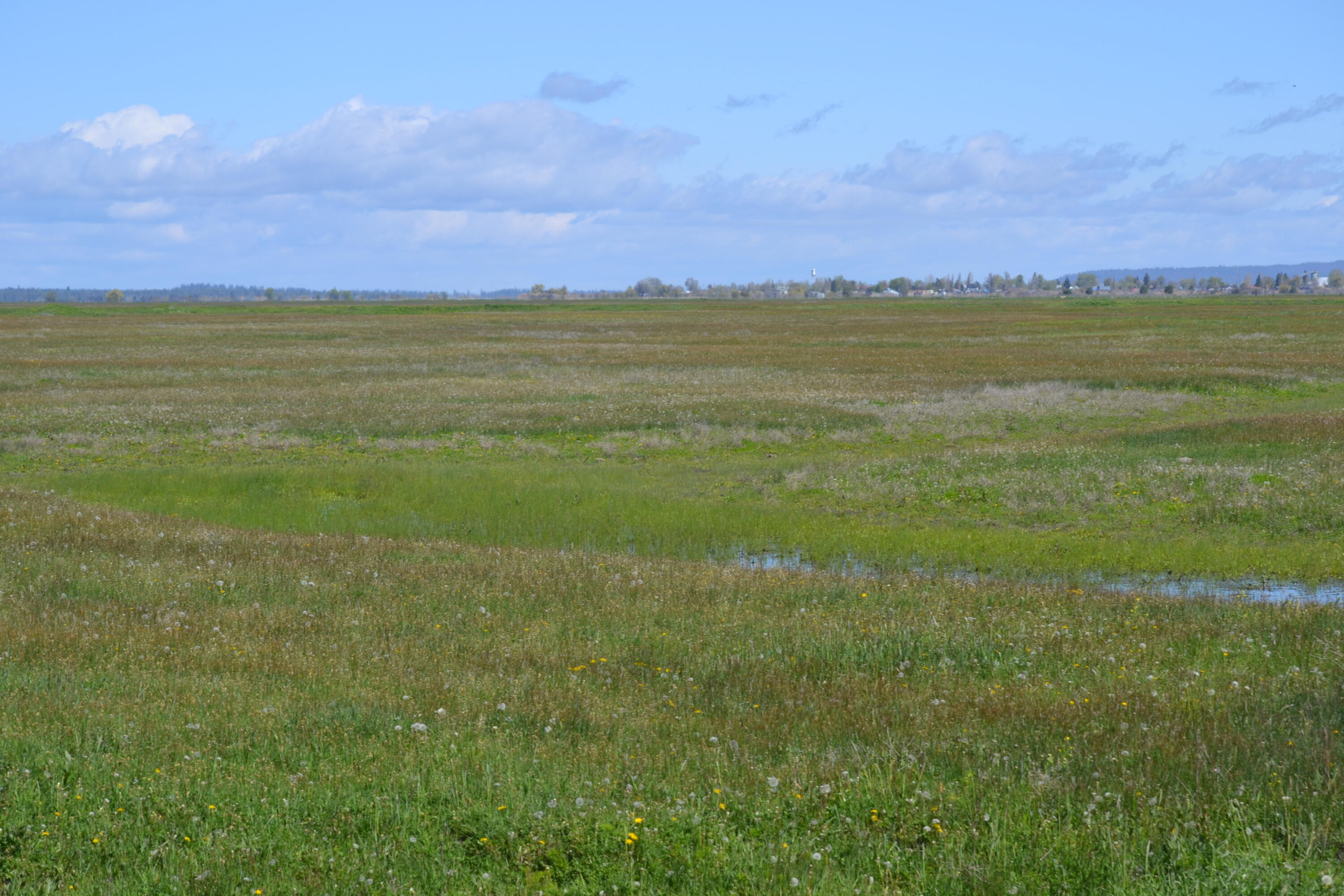 property viewer photo 44