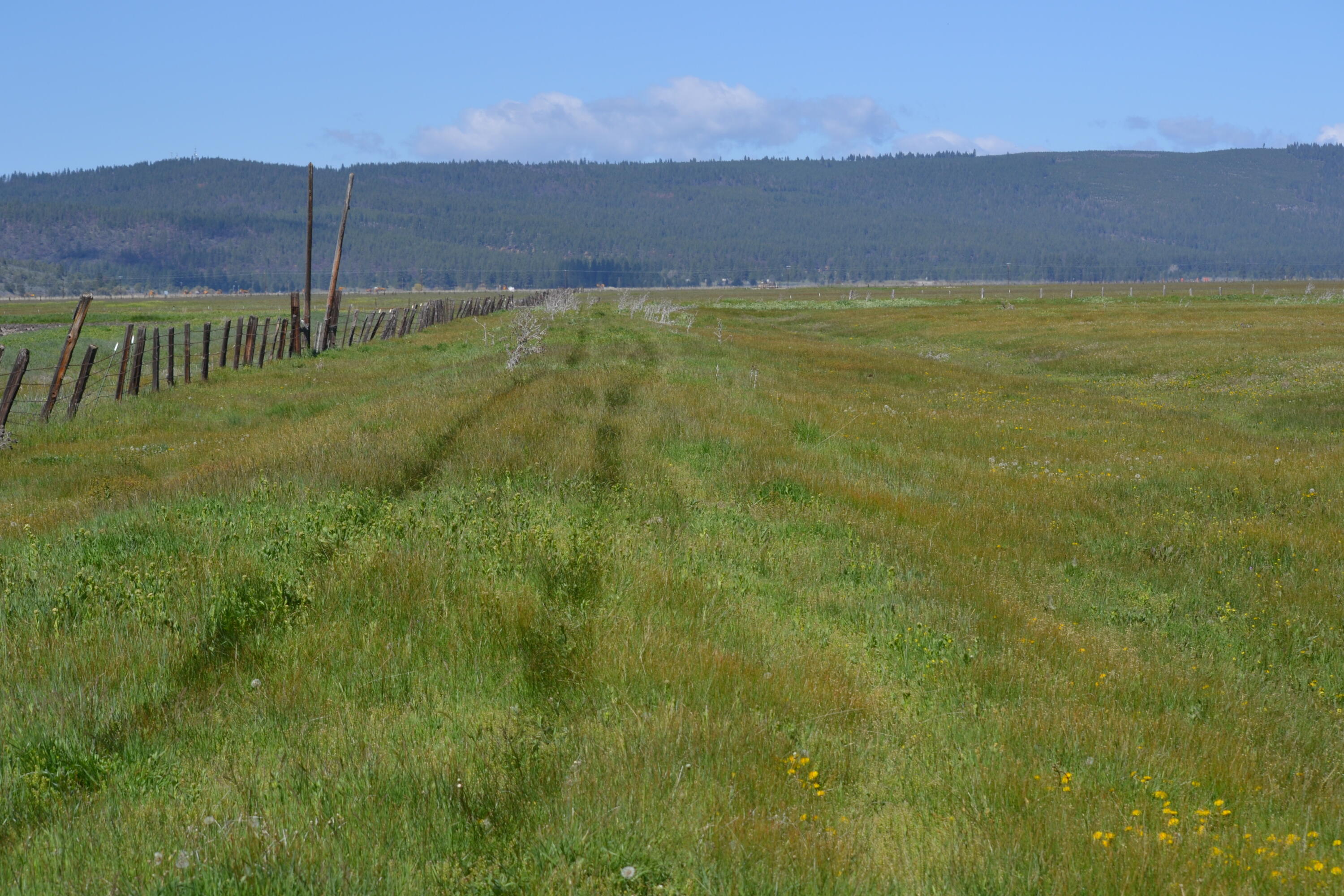 property viewer photo 45