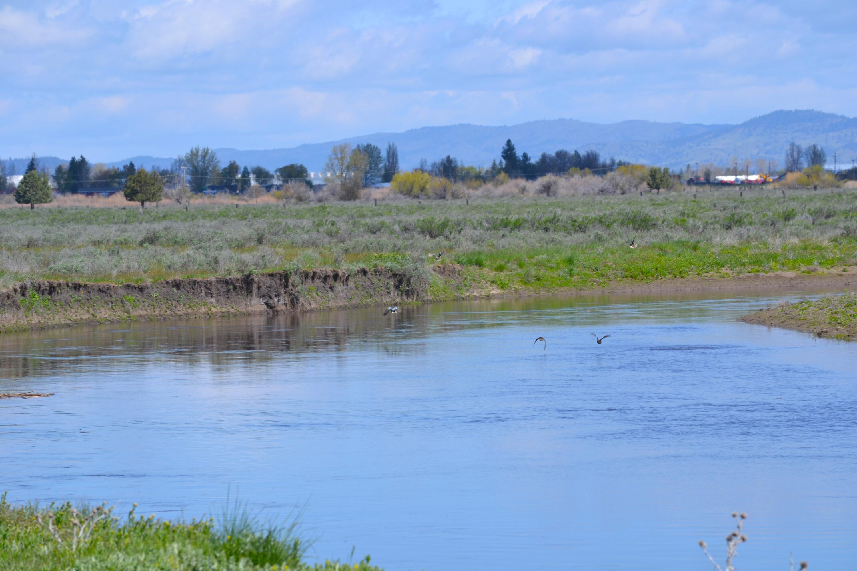 property viewer photo 46