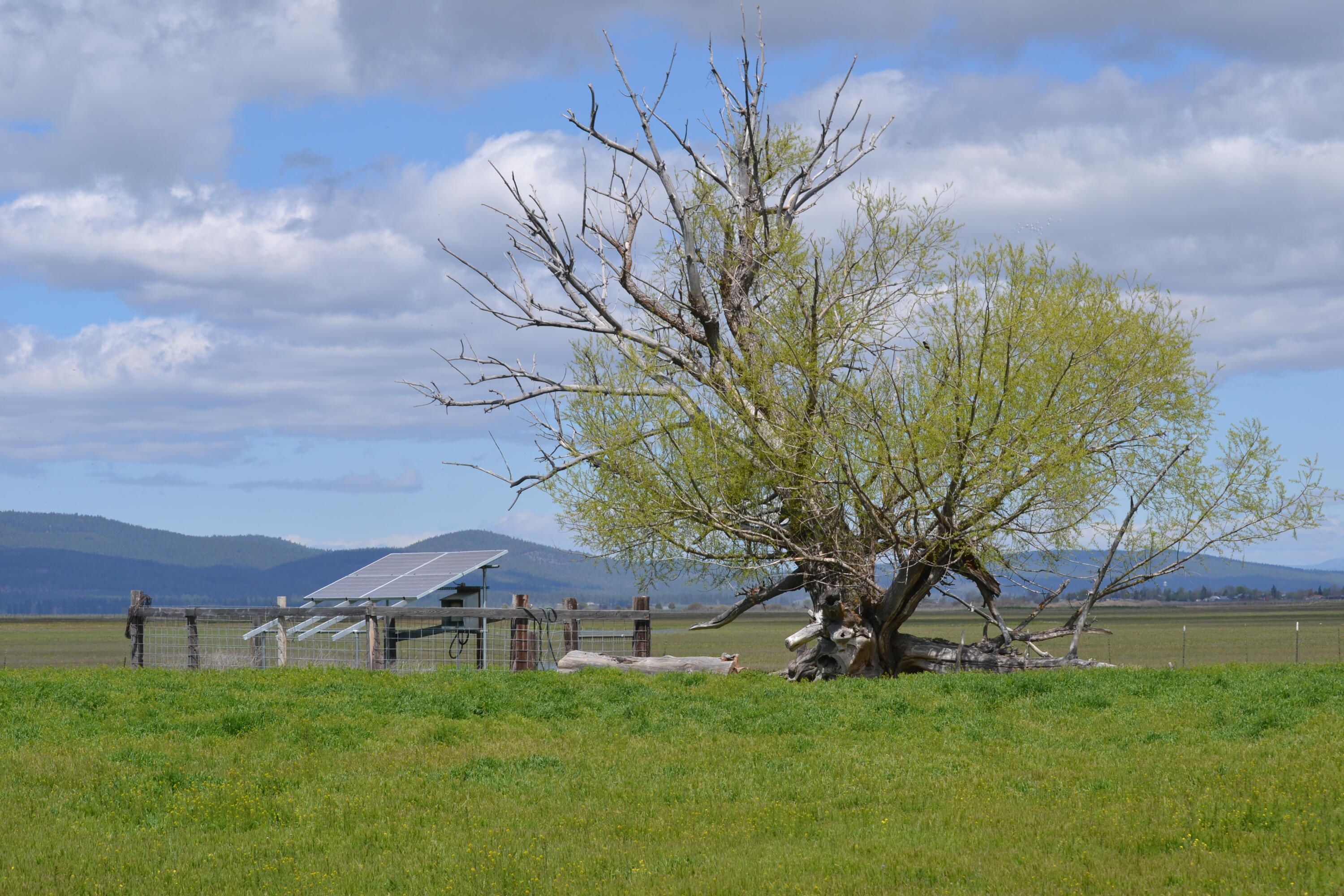 property viewer photo 48