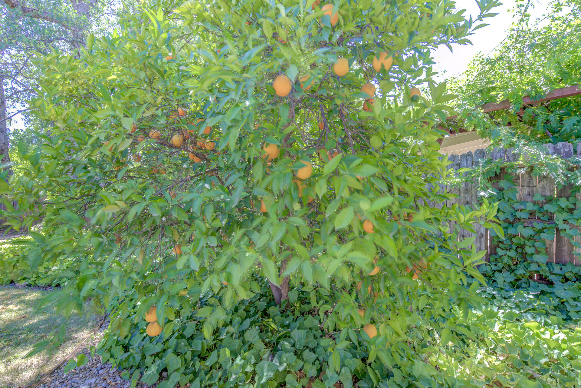 property viewer photo 29