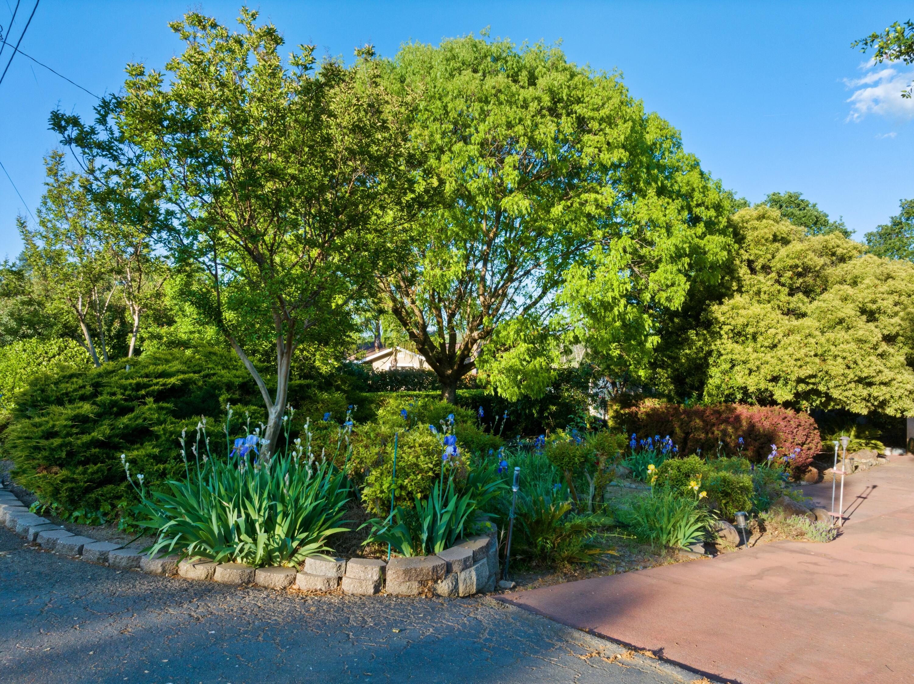 property viewer photo 41