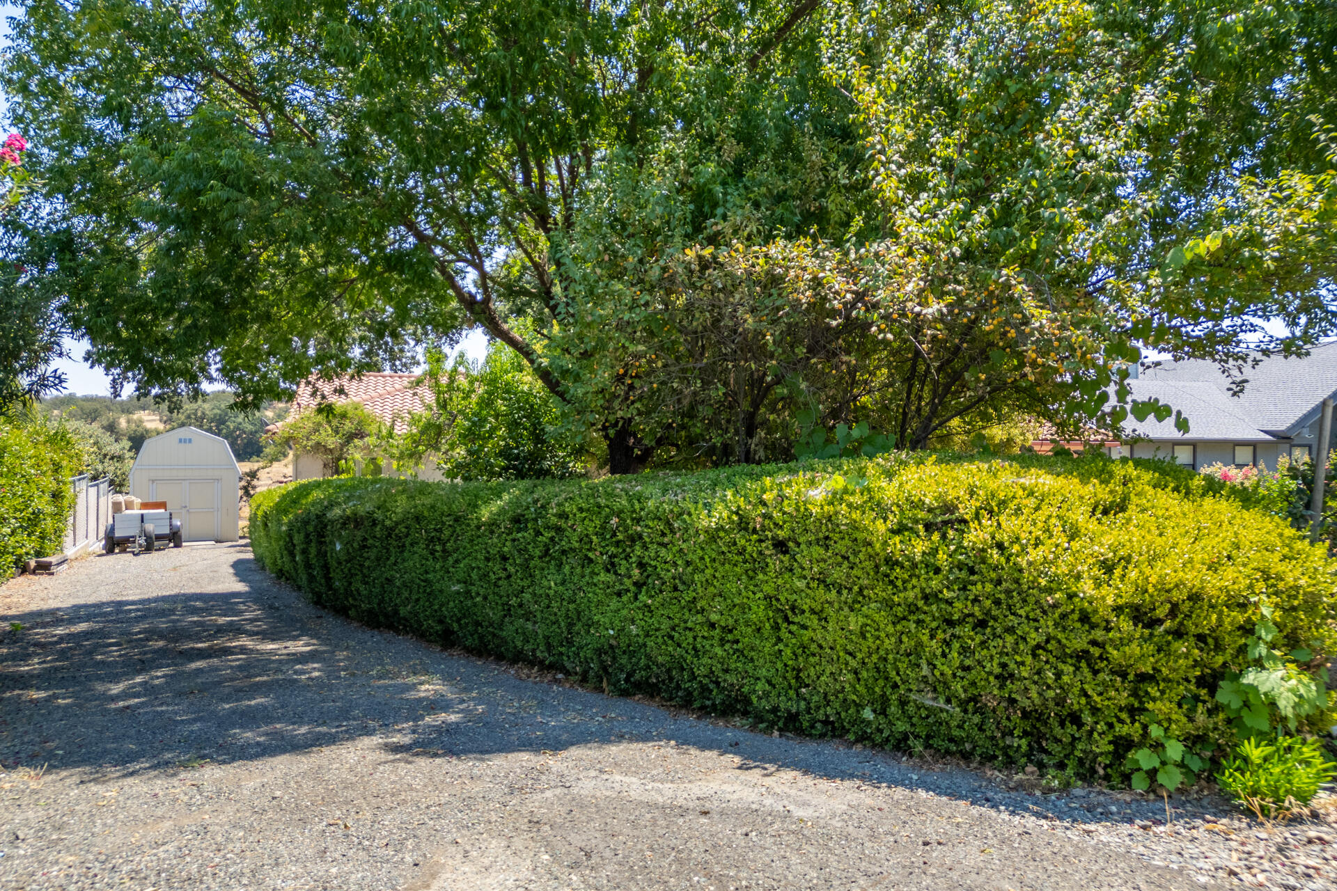 property viewer photo 7