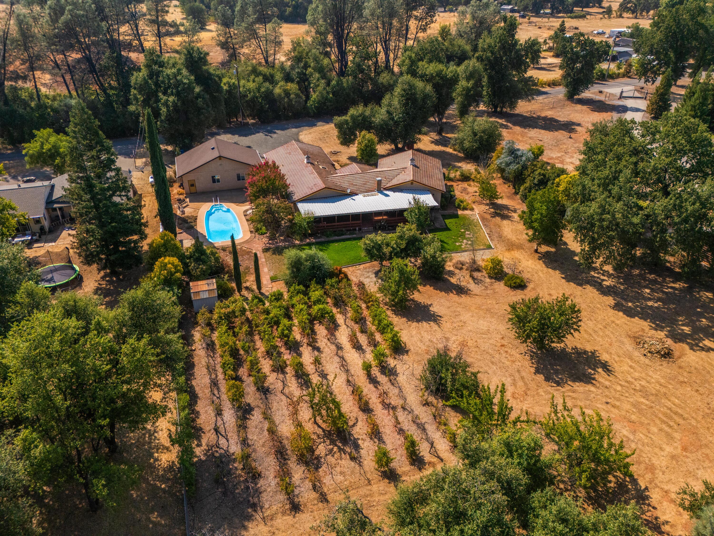 property viewer photo 2