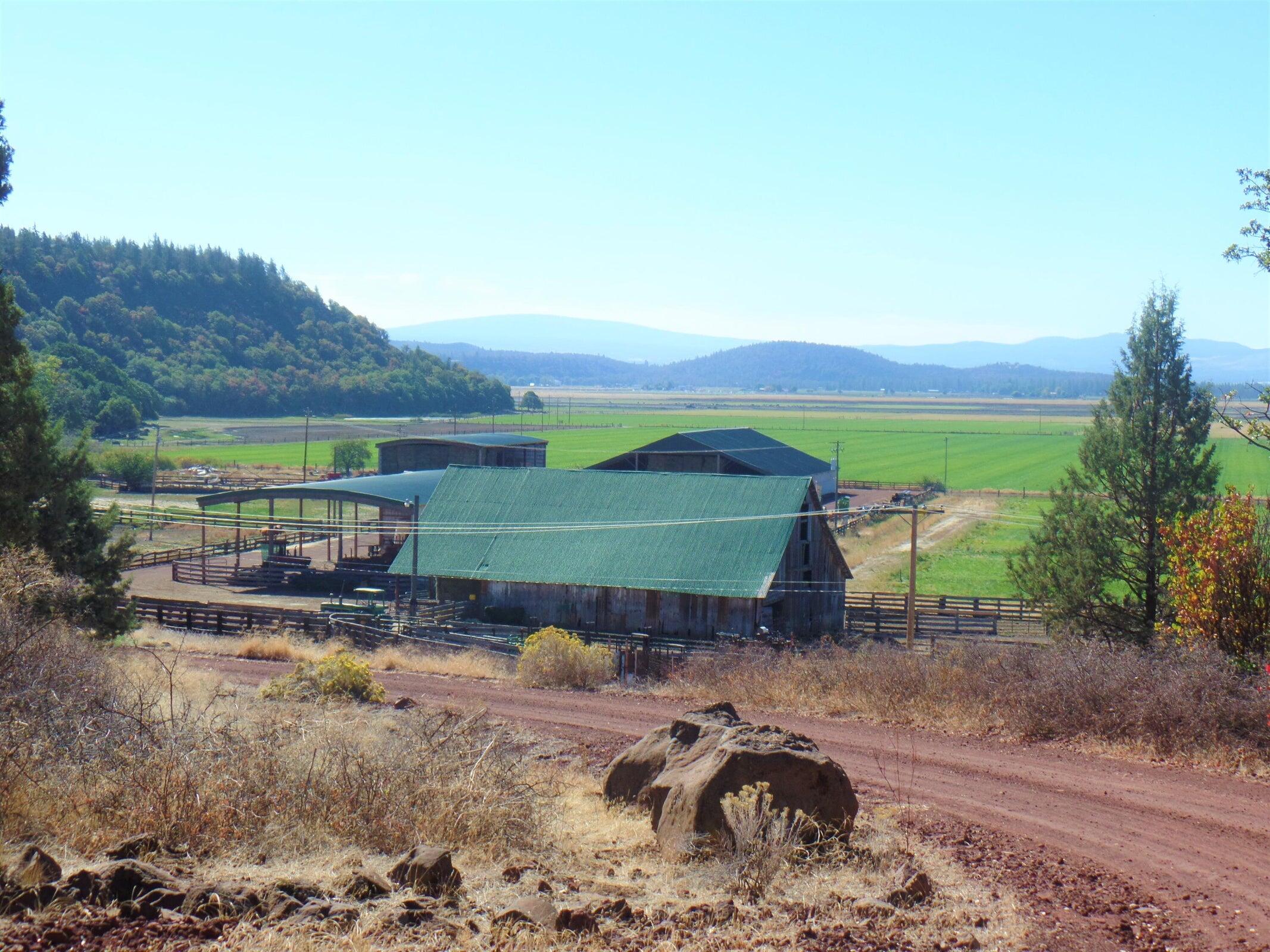 main property photo 21