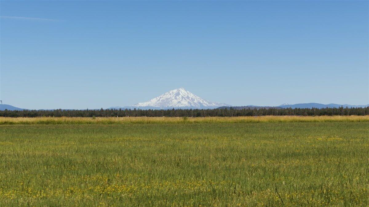 main property photo 65