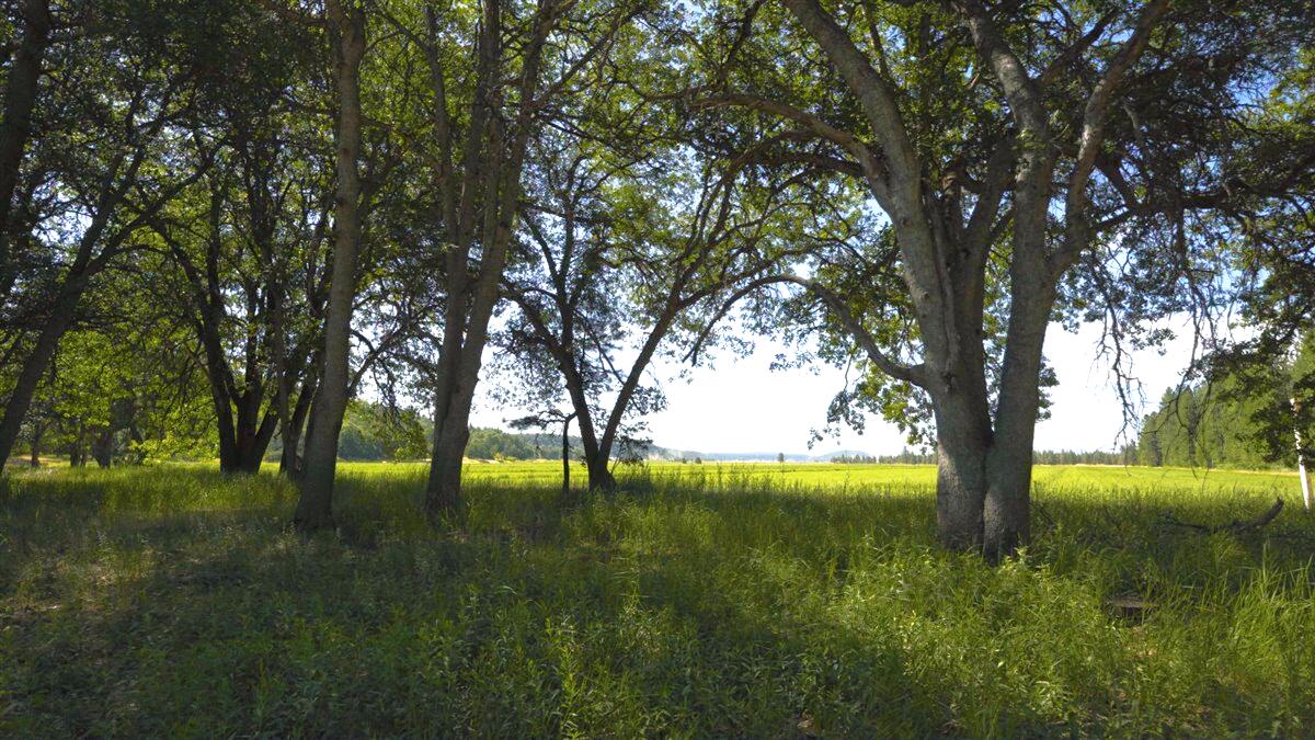 main property photo 66