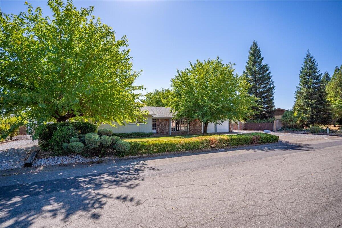 property viewer photo 4