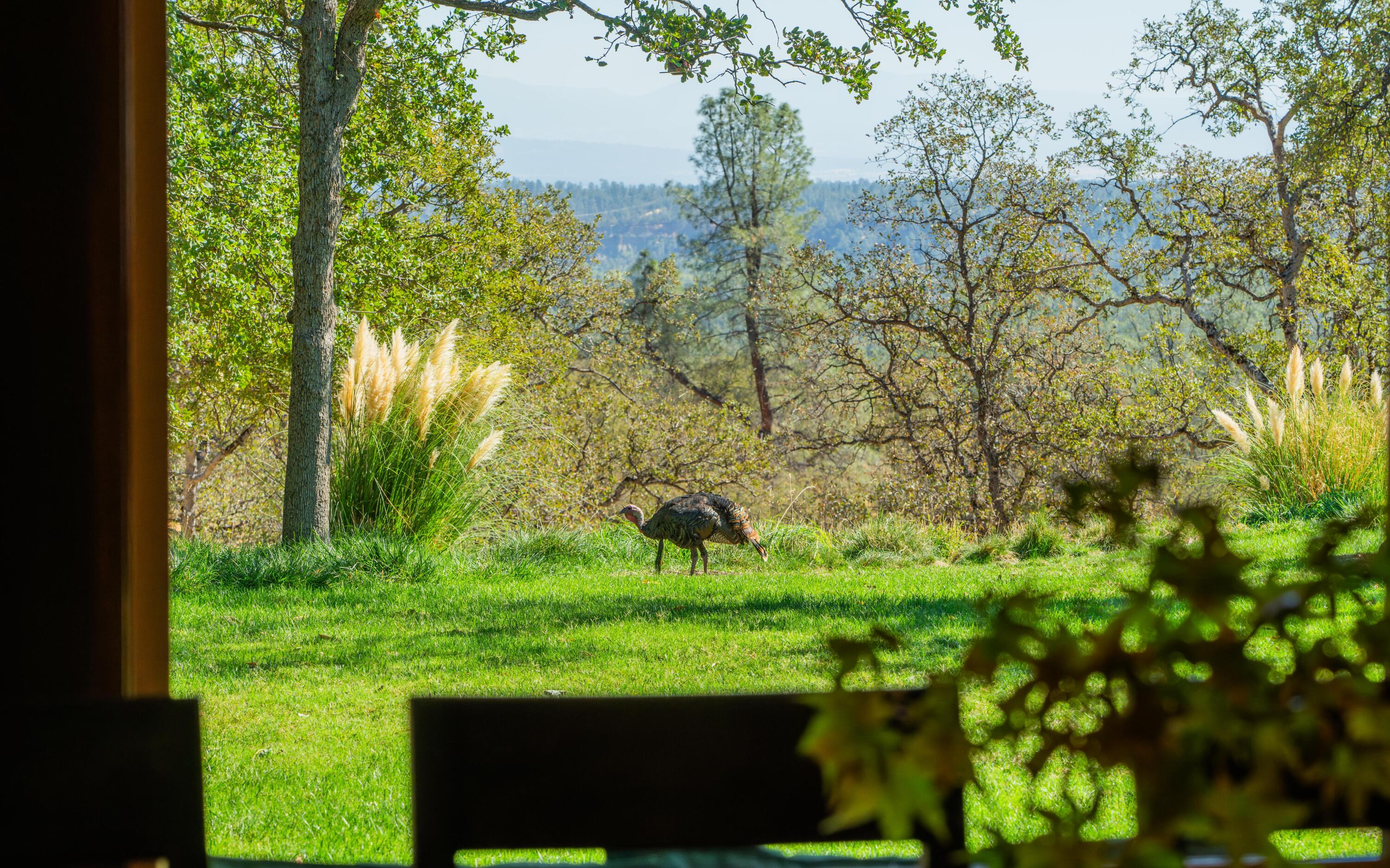property viewer photo 28