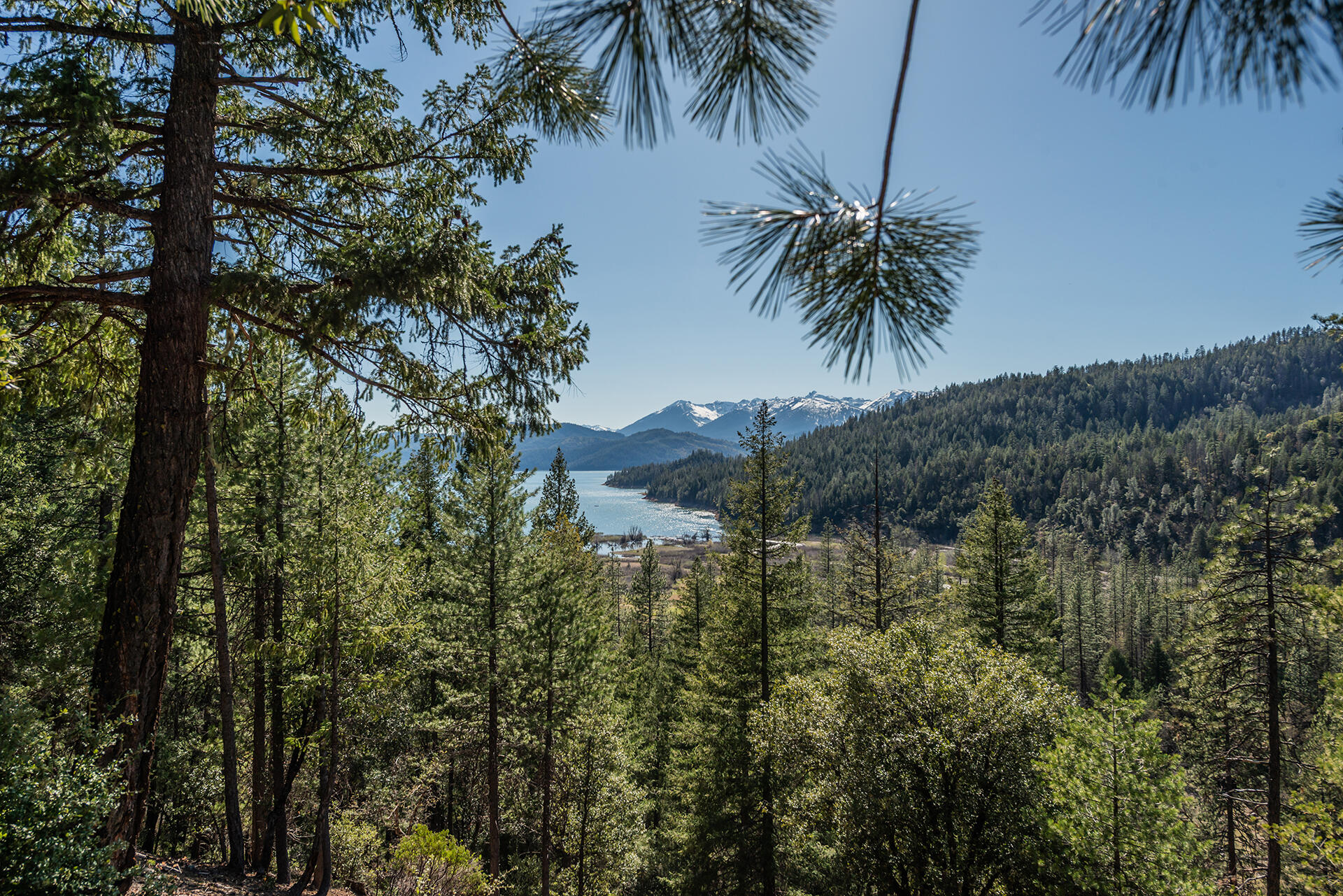 main property photo 58