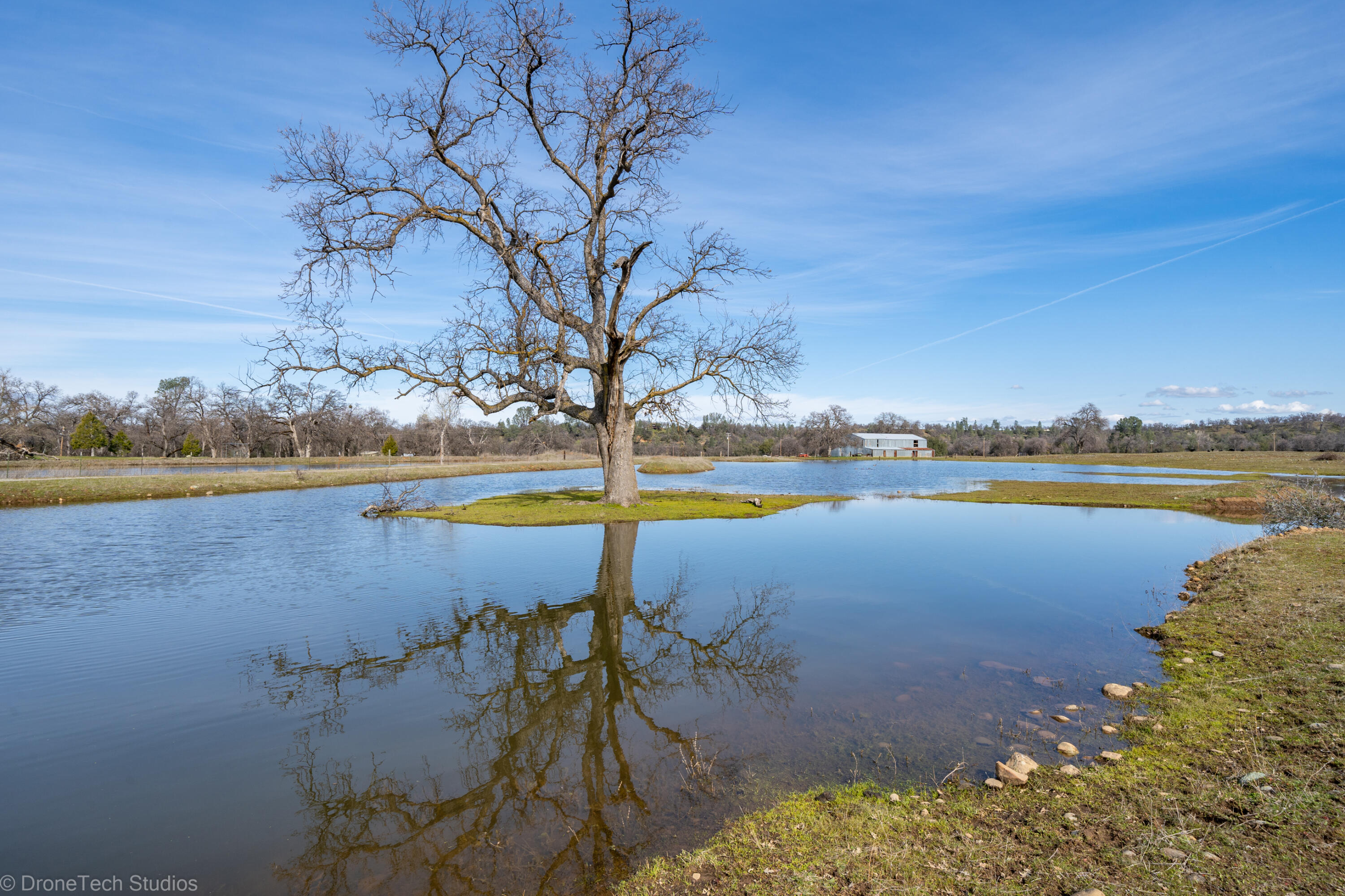 main property photo 50
