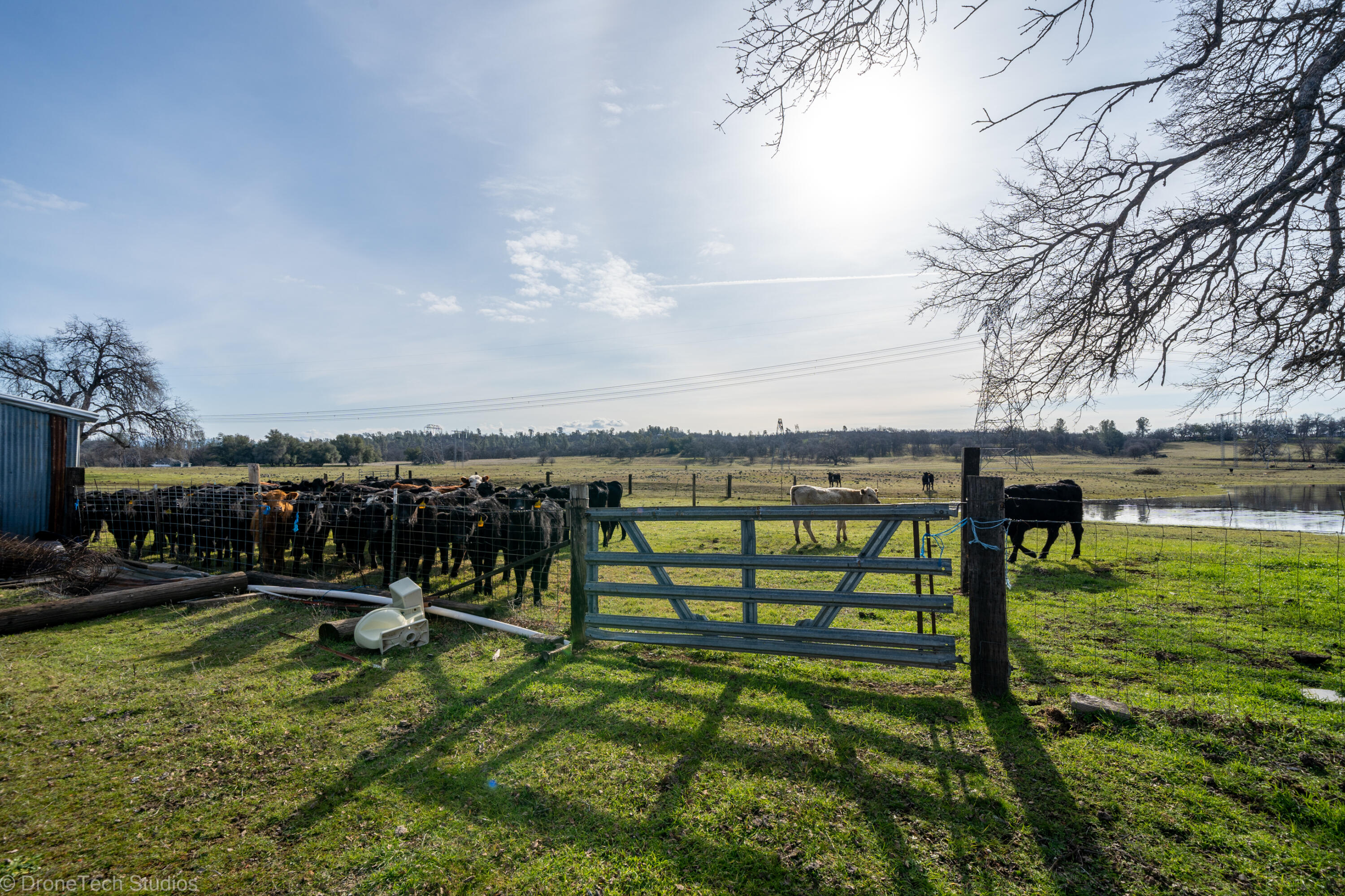main property photo 53
