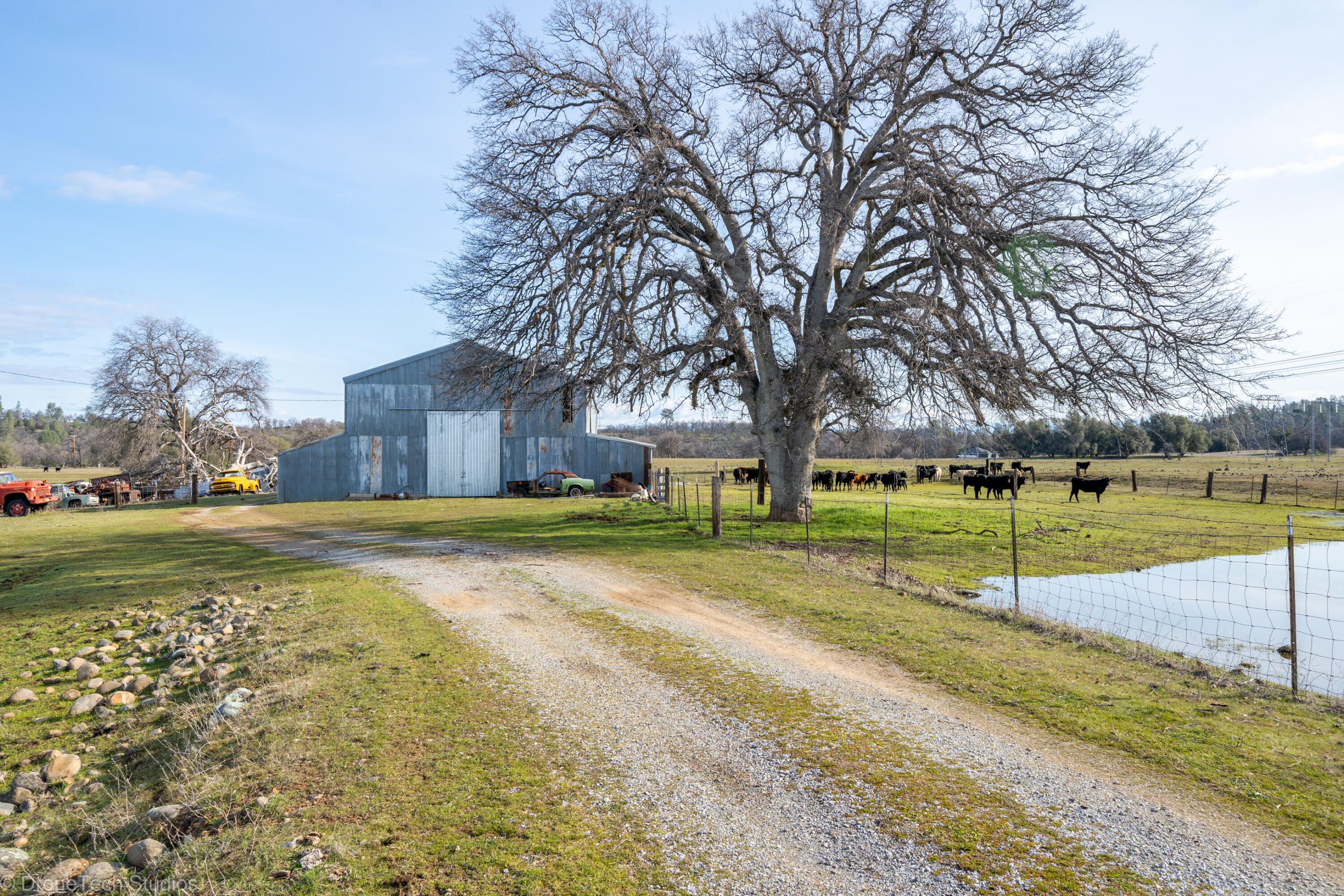 main property photo 55