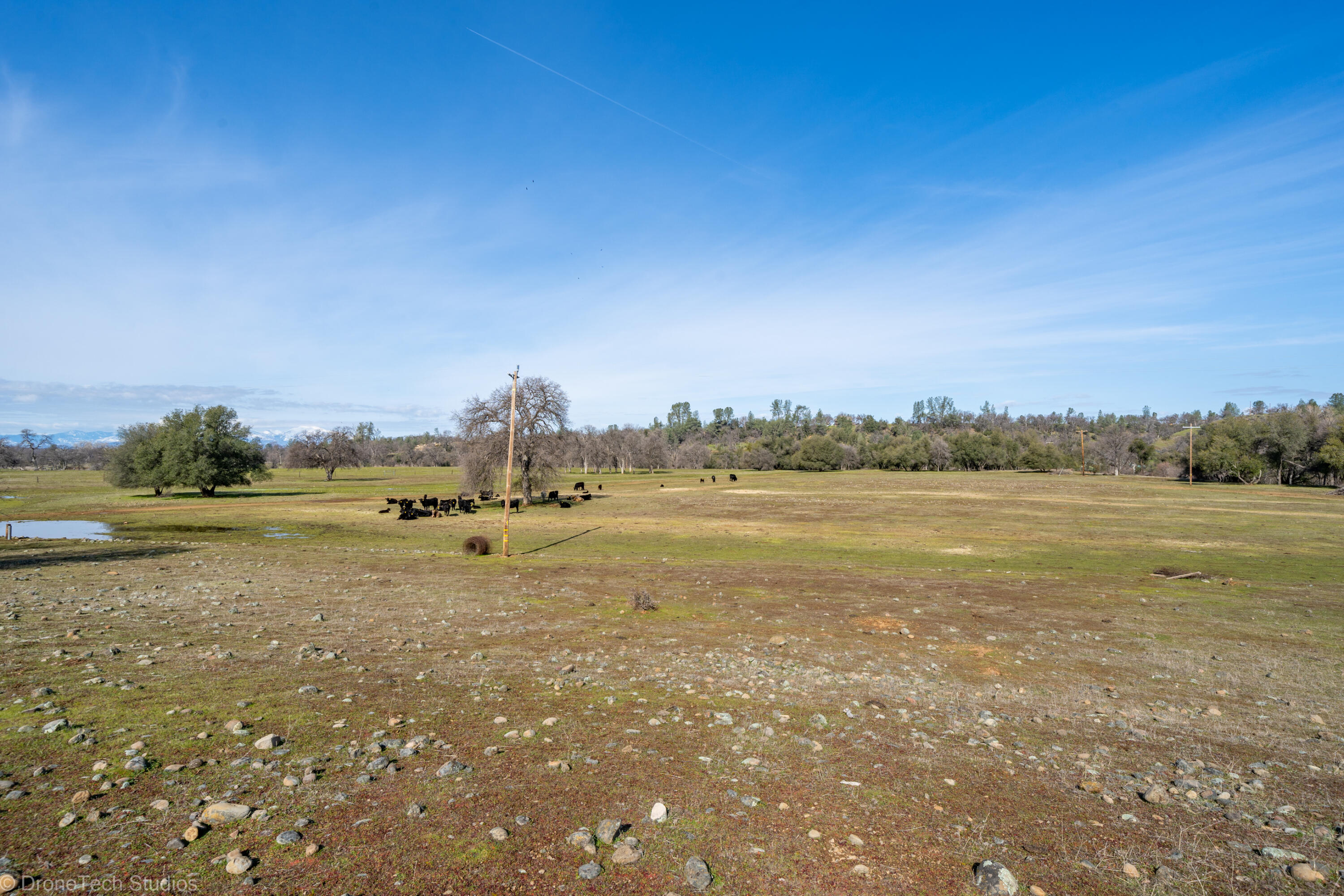 main property photo 67