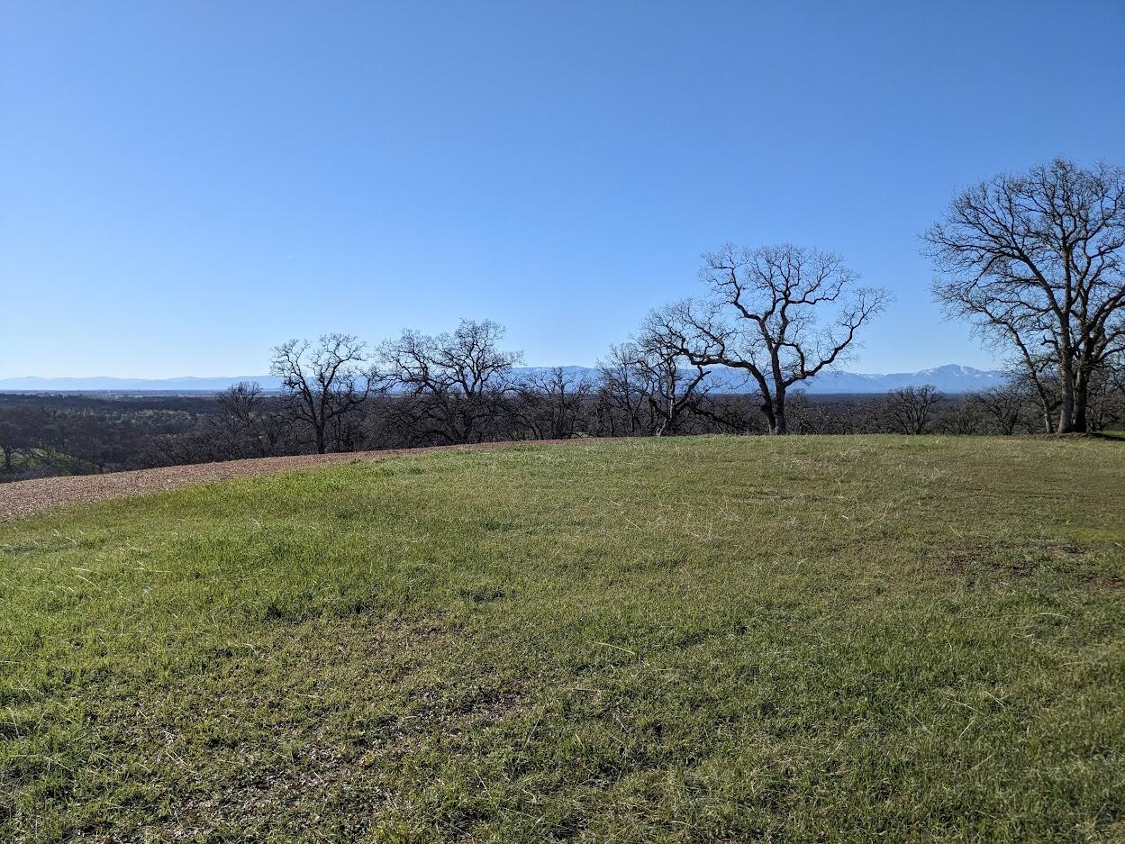 property viewer photo 4