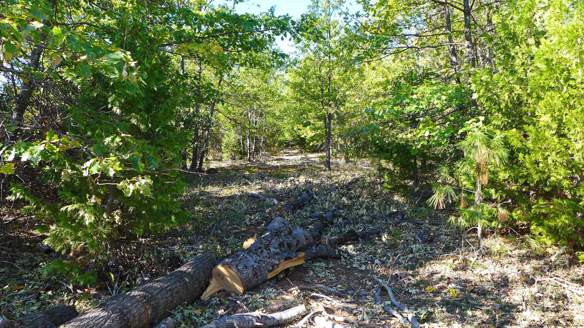 property viewer photo 10