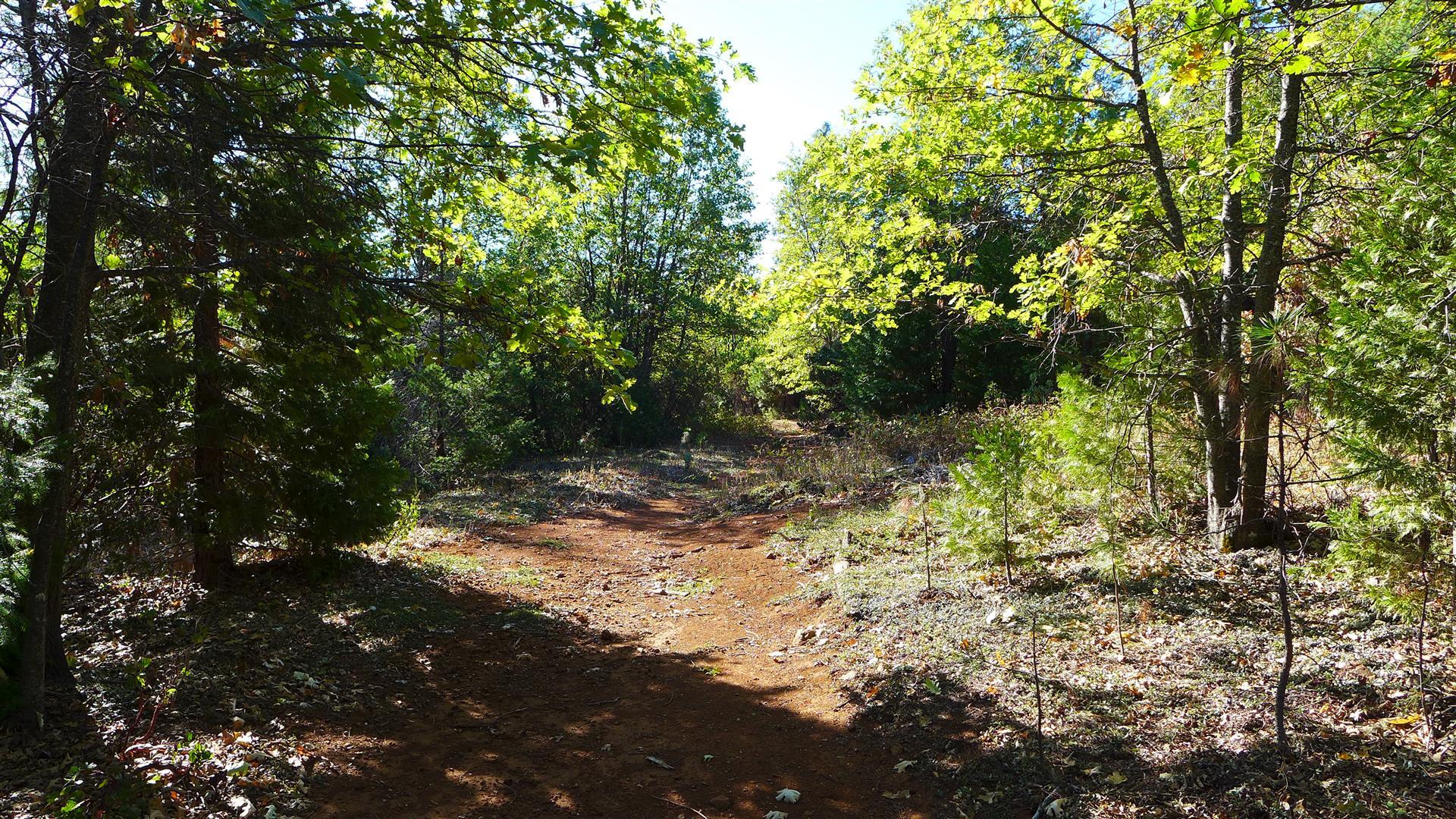 property viewer photo 11
